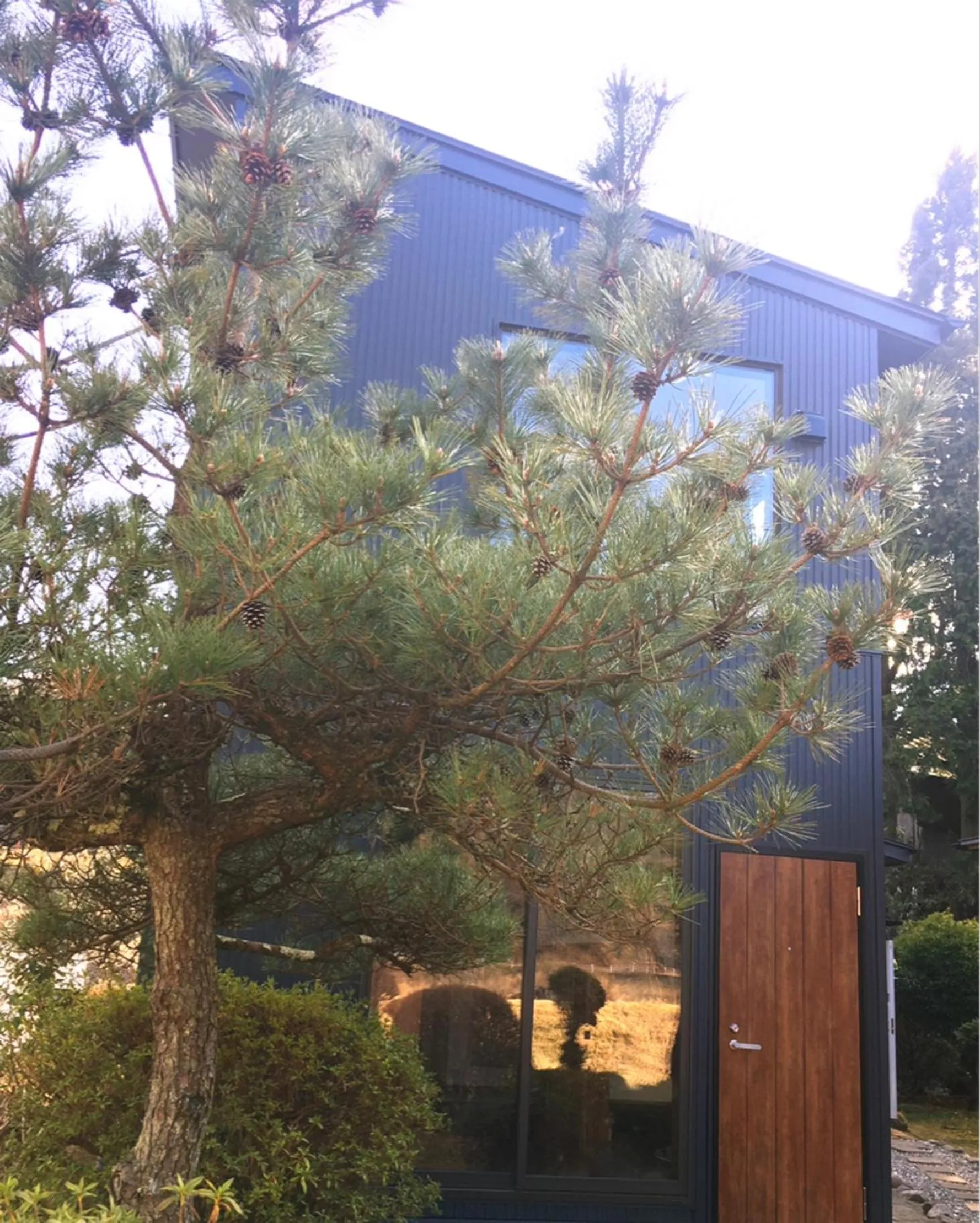Facade/entrance in Stay Nikko Guesthouse
