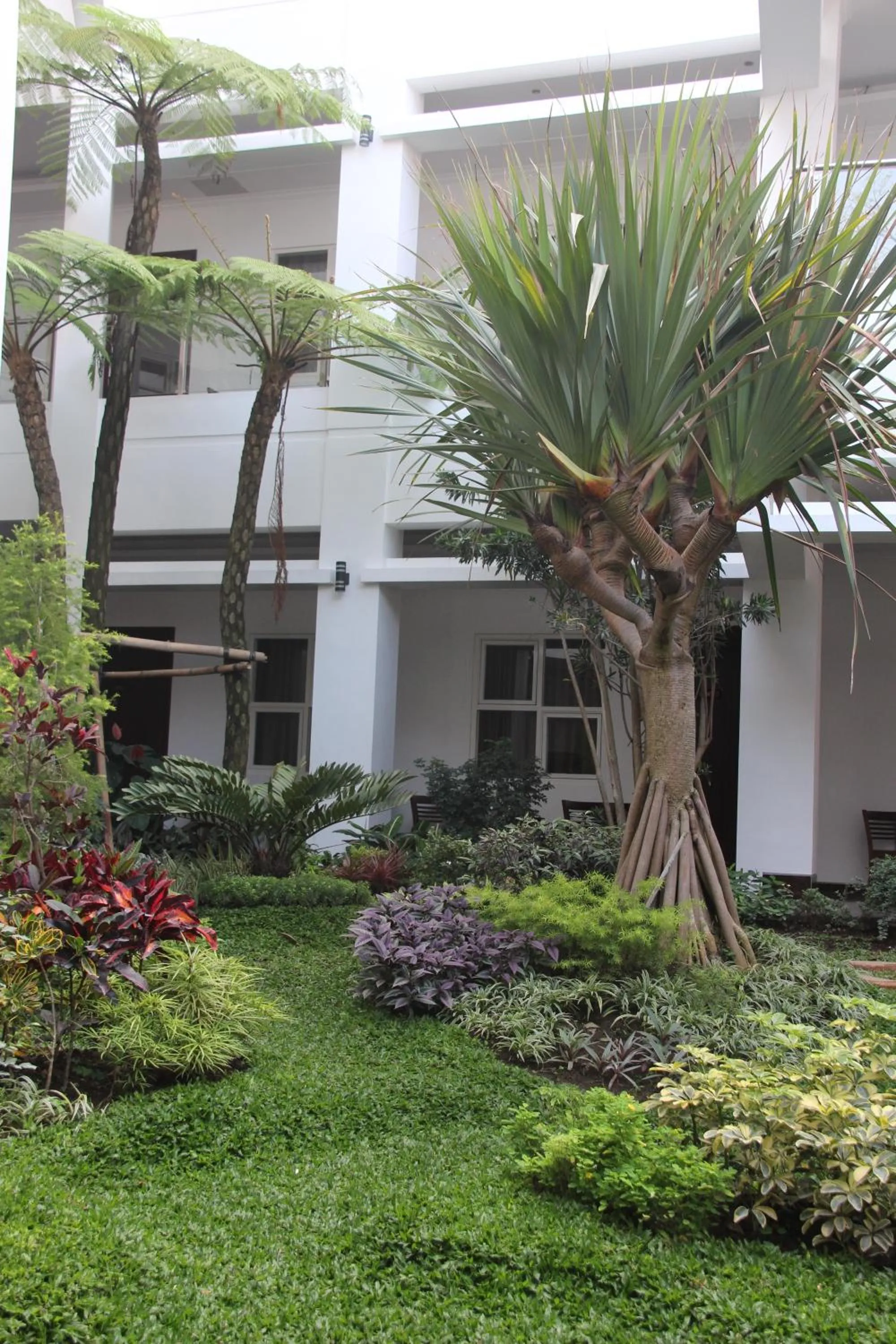 Tlogomas Guest House