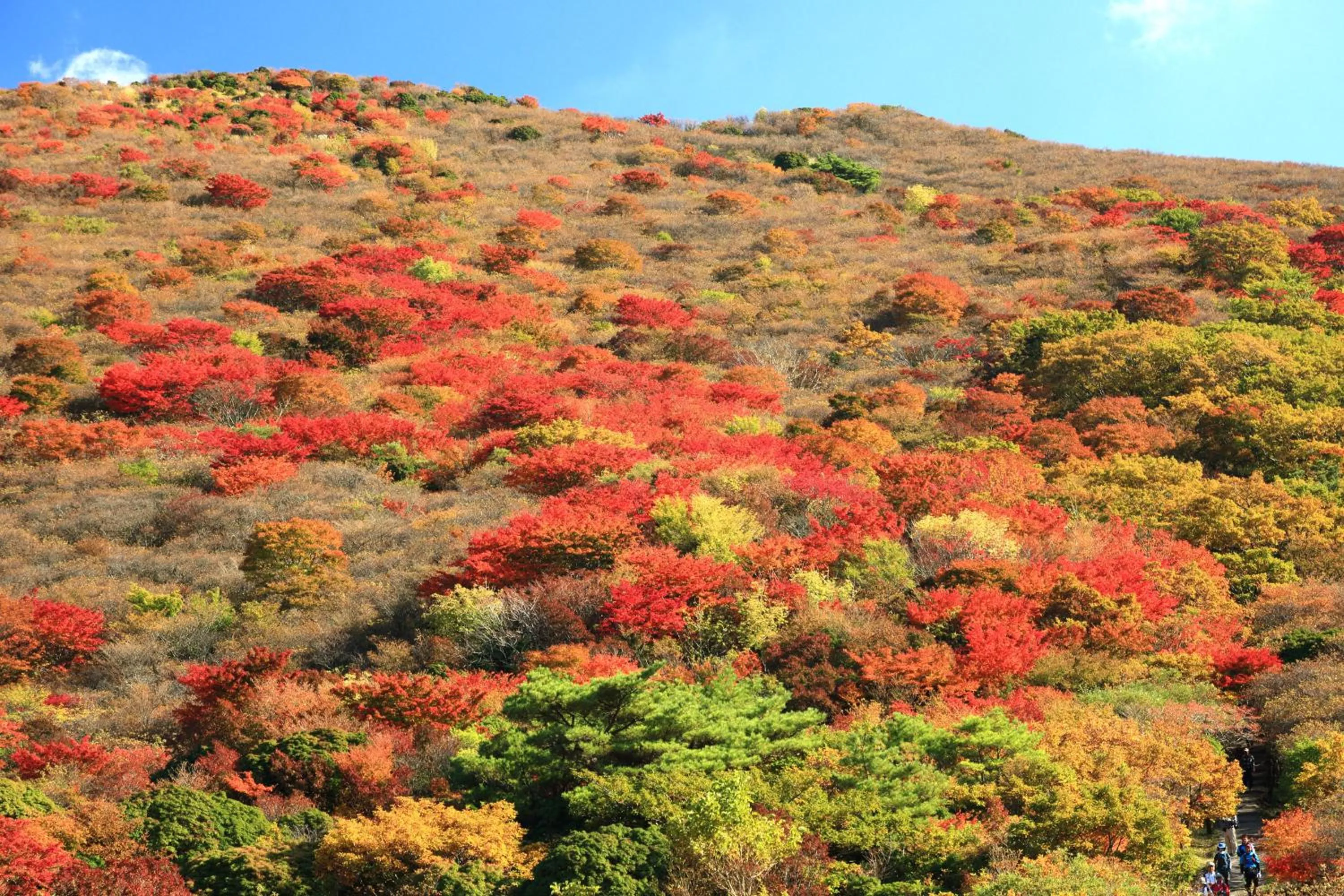 Other in Spagreenness