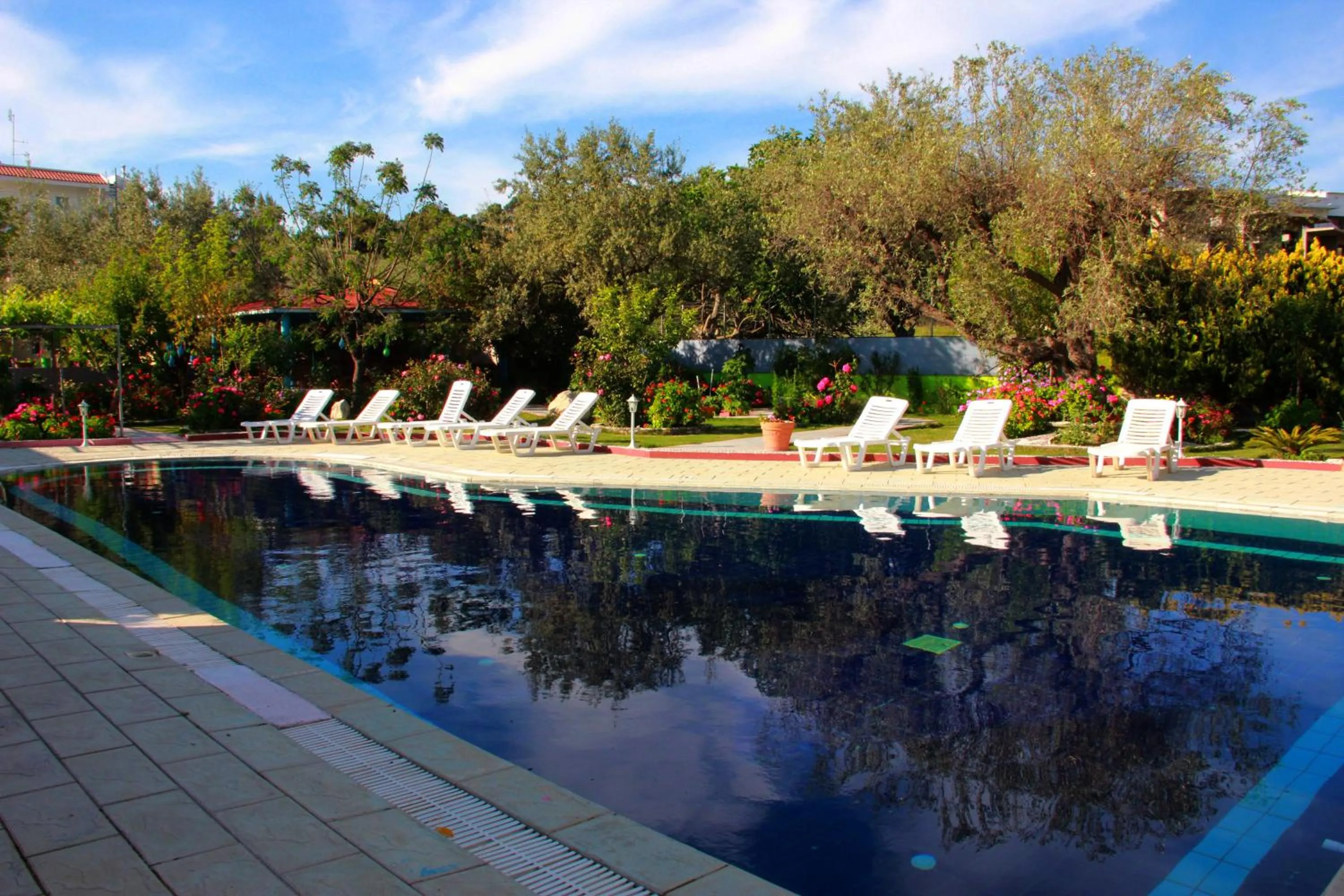 Swimming pool in Hotel Dimitra Sun
