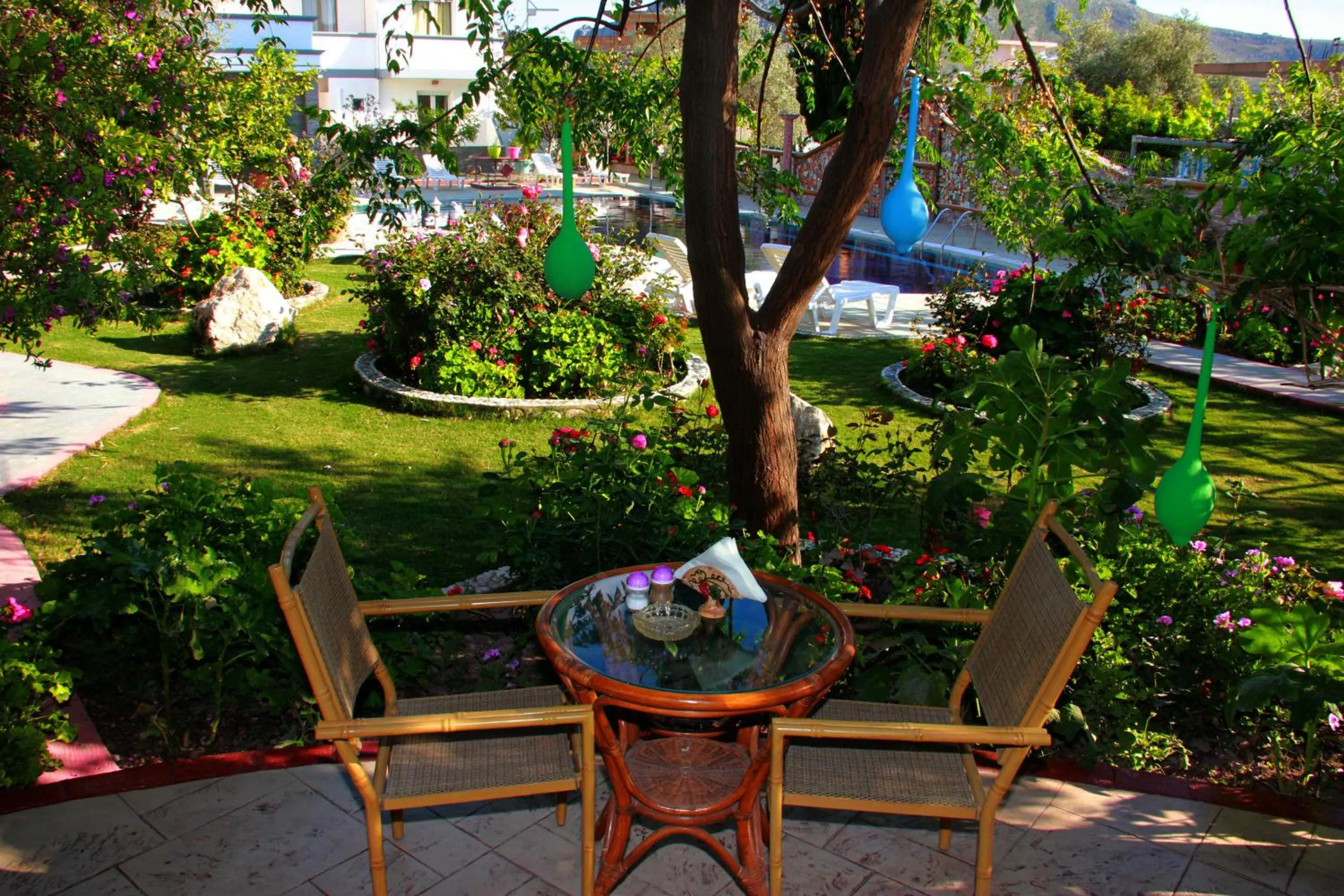 Garden in Hotel Dimitra Sun