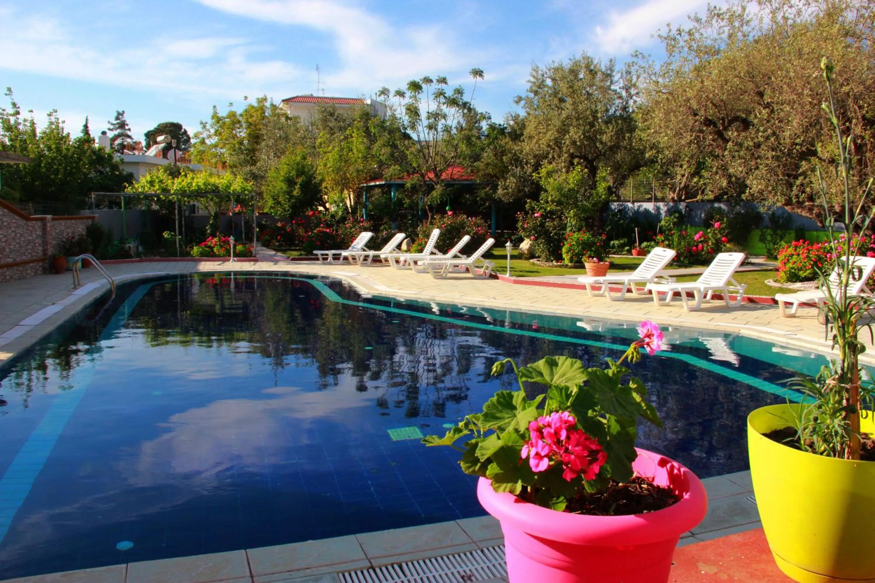 Day in Hotel Dimitra Sun