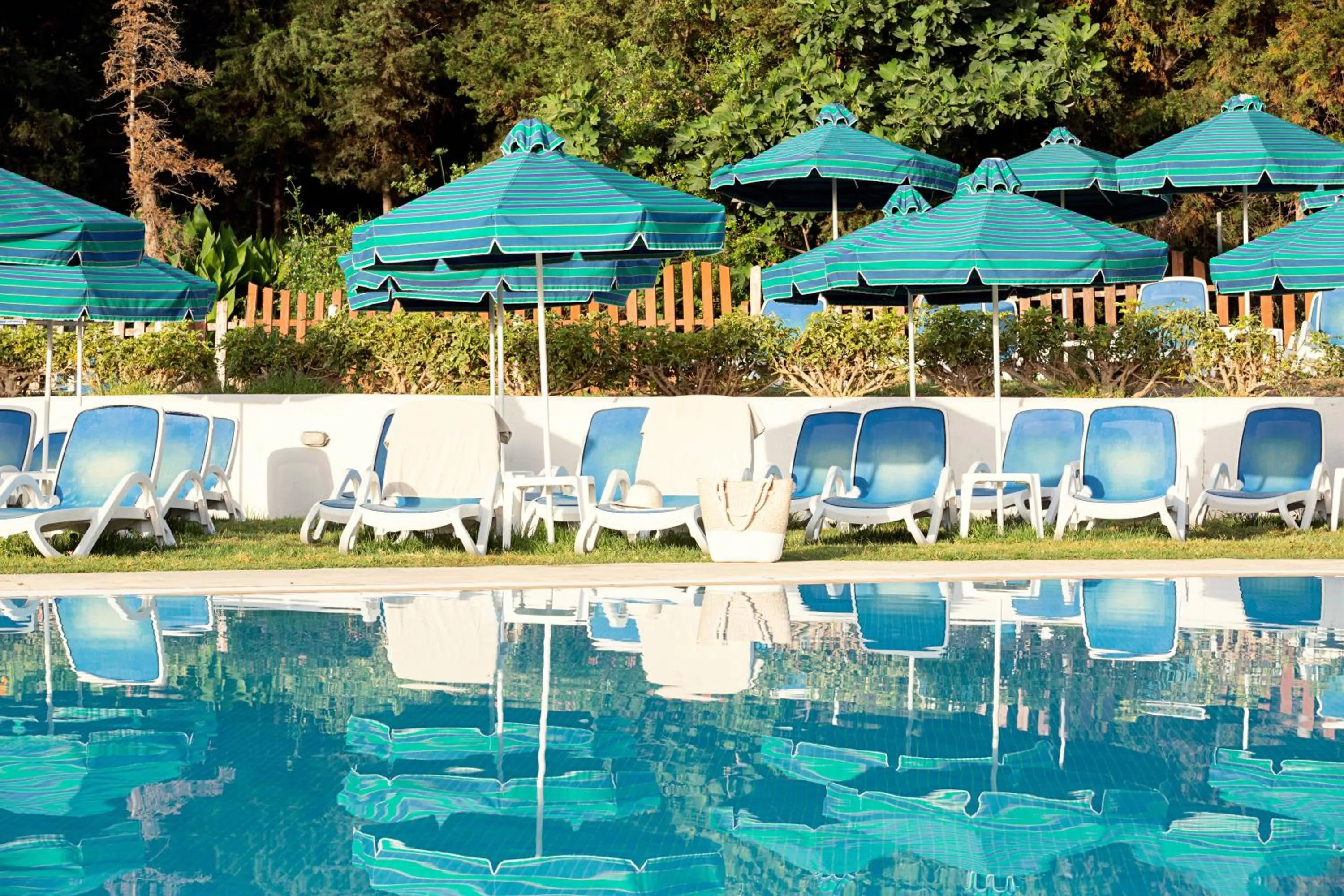 Area and facilities in Cyprotel Faliraki