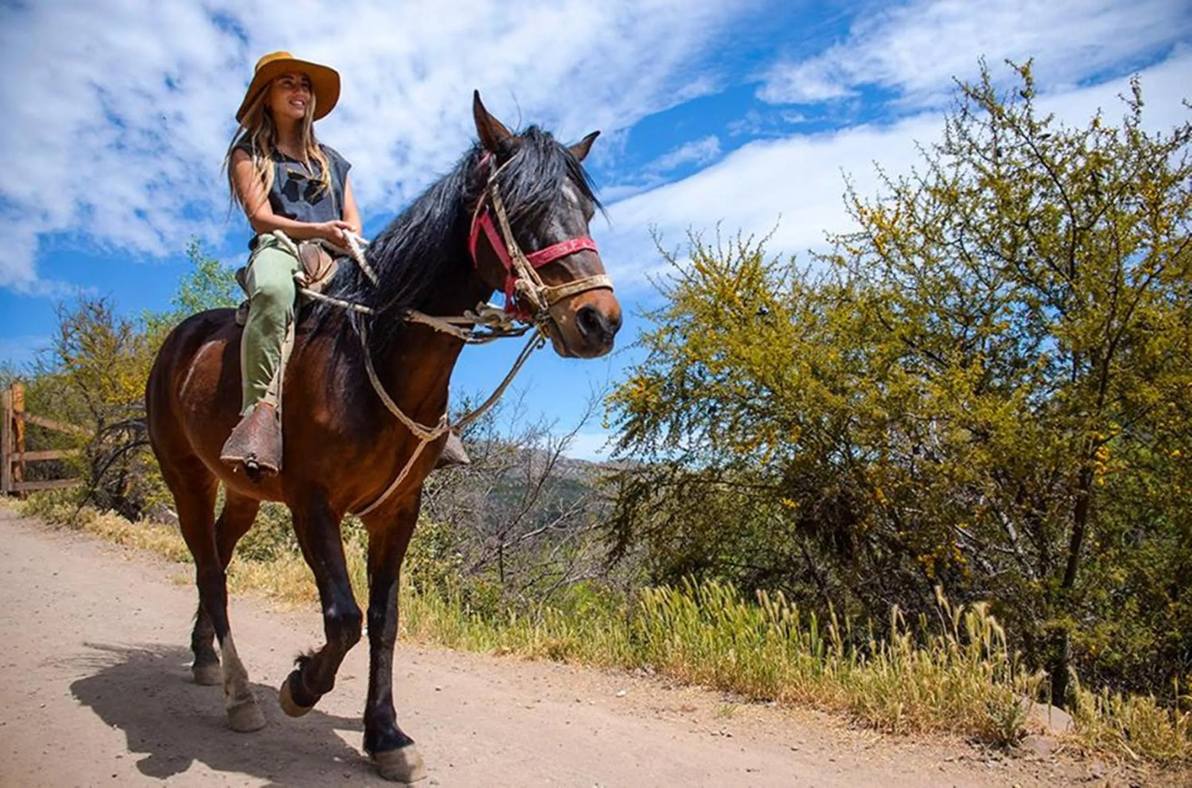 Animals in San Francisco Lodge