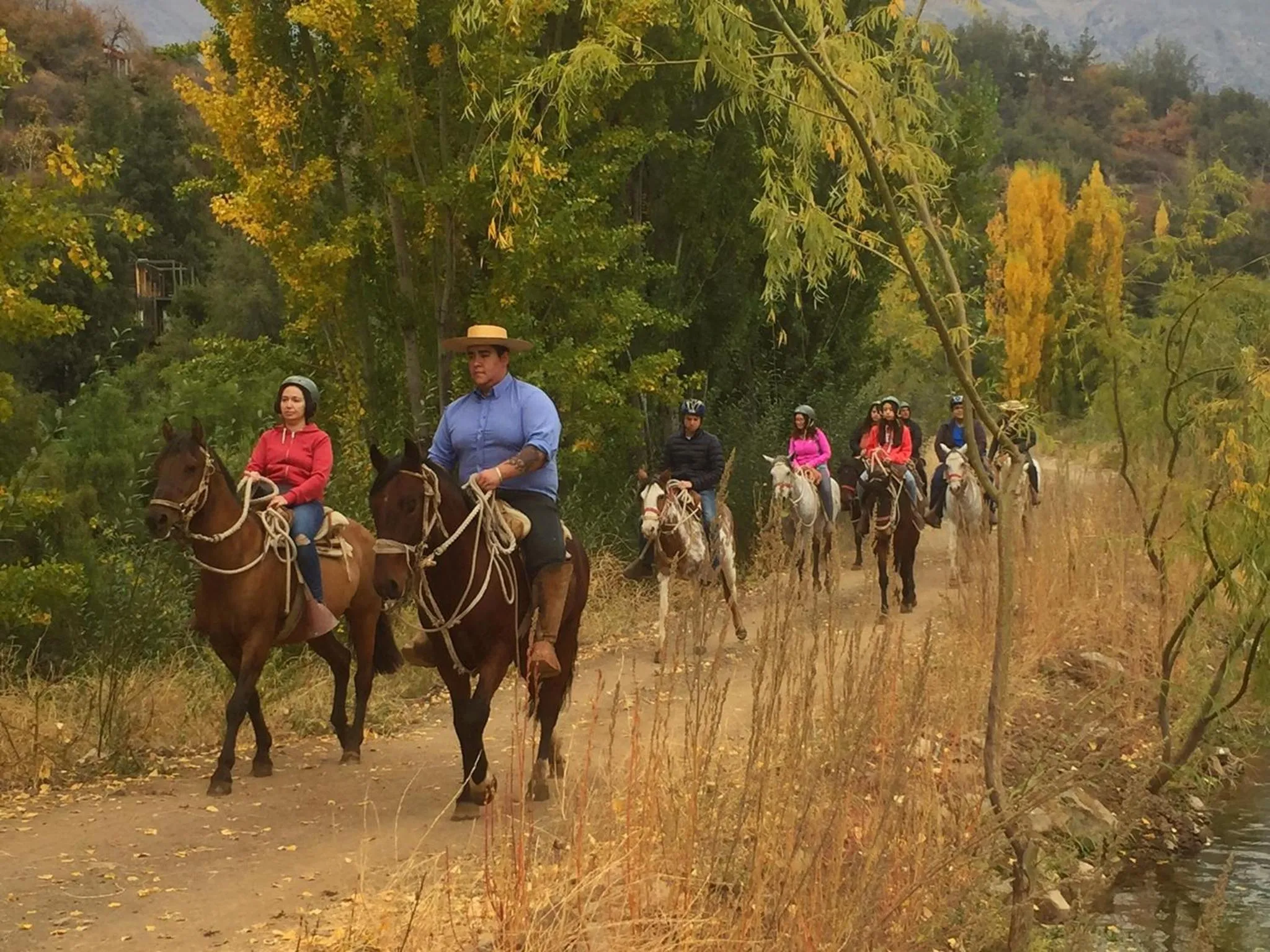 Animals in San Francisco Lodge