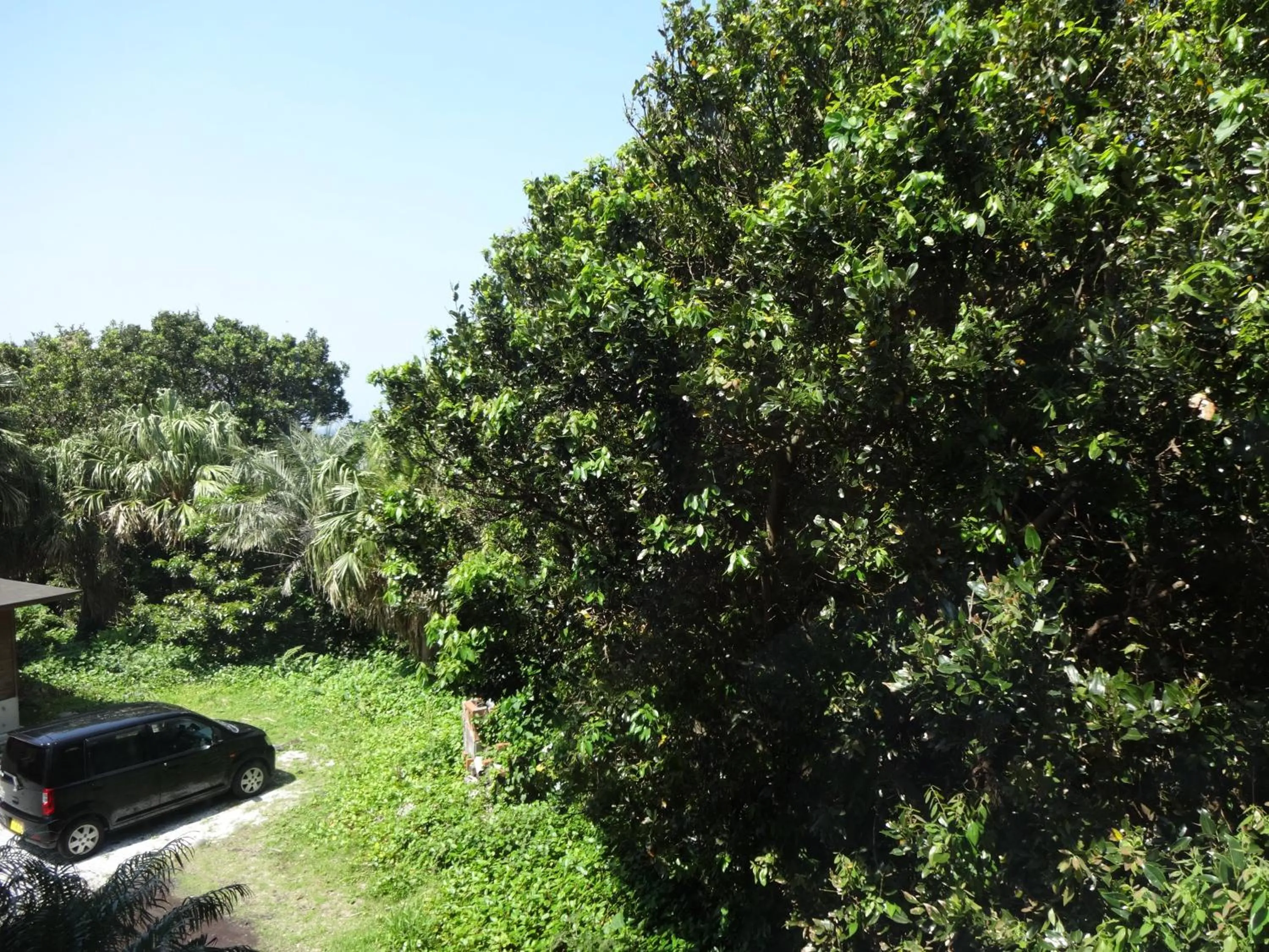 Natural landscape in Mantenbo