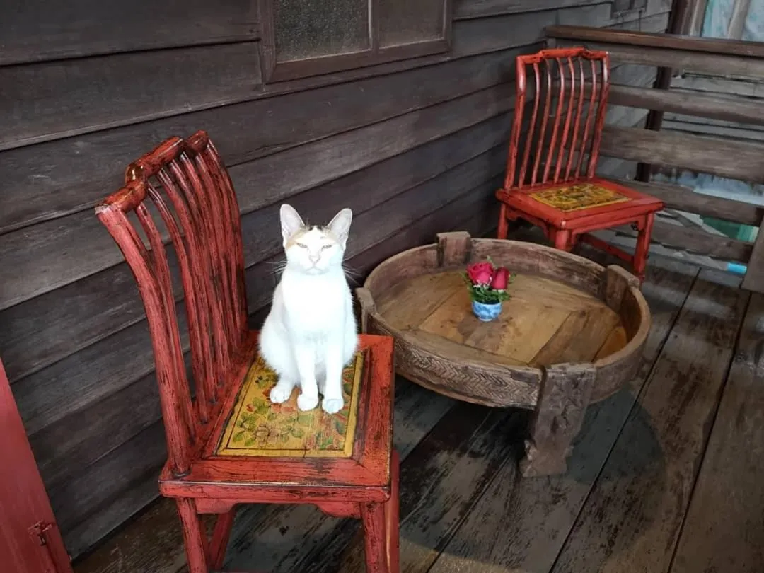 Balcony/Terrace in Siamotif Boutique Hotel