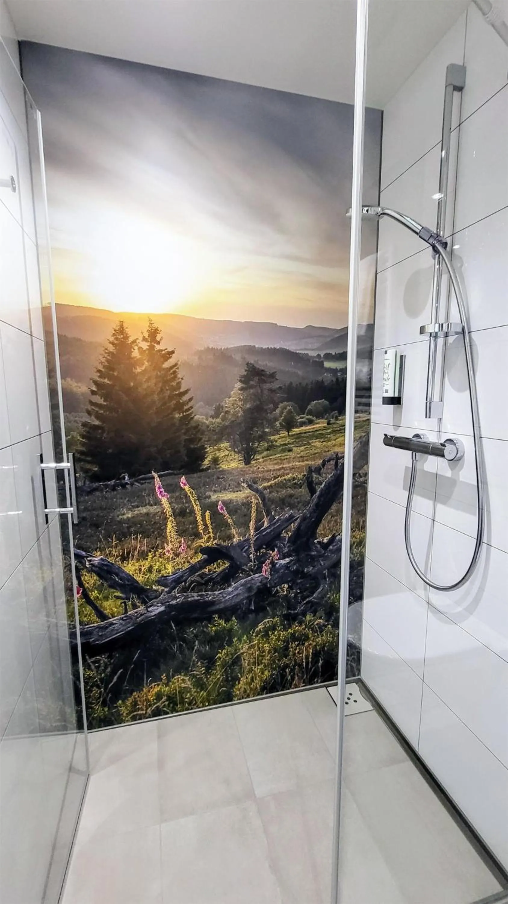 Bathroom in Mountain View Hotel Willingen, BW Signature Collection