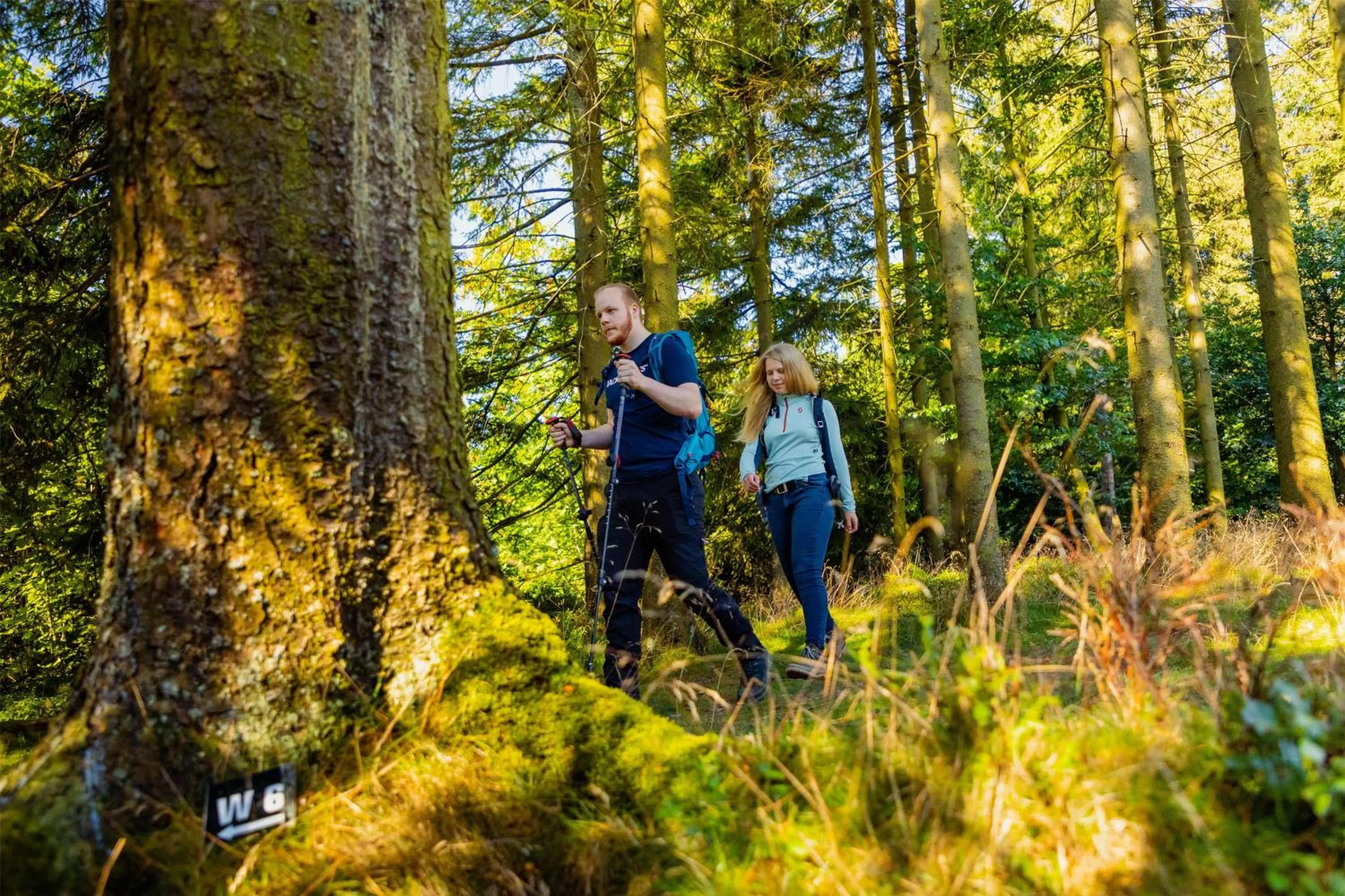 Nearby landmark in Mountain View Hotel Willingen, BW Signature Collection