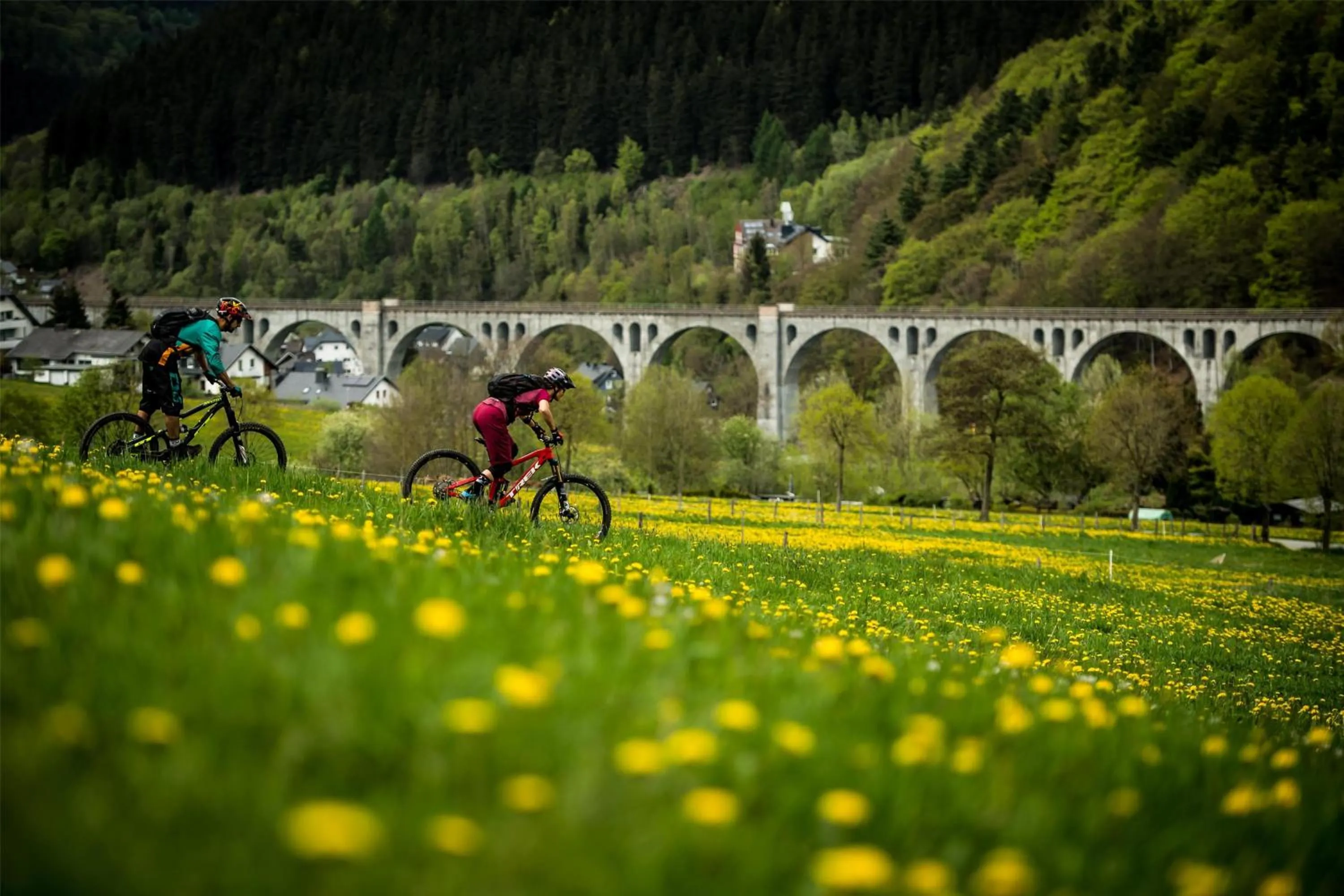 Sports in Mountain View Hotel Willingen, BW Signature Collection