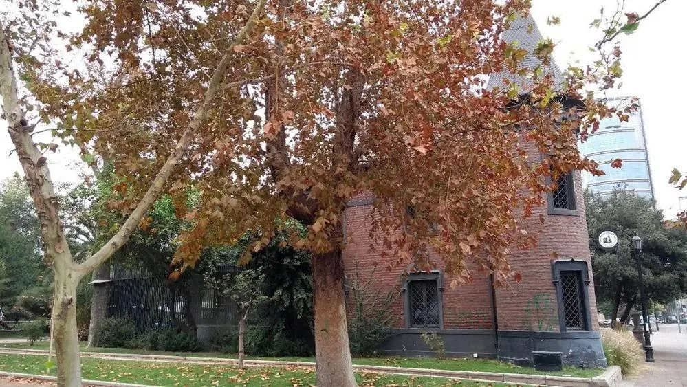 Tremo Patio Bellavista