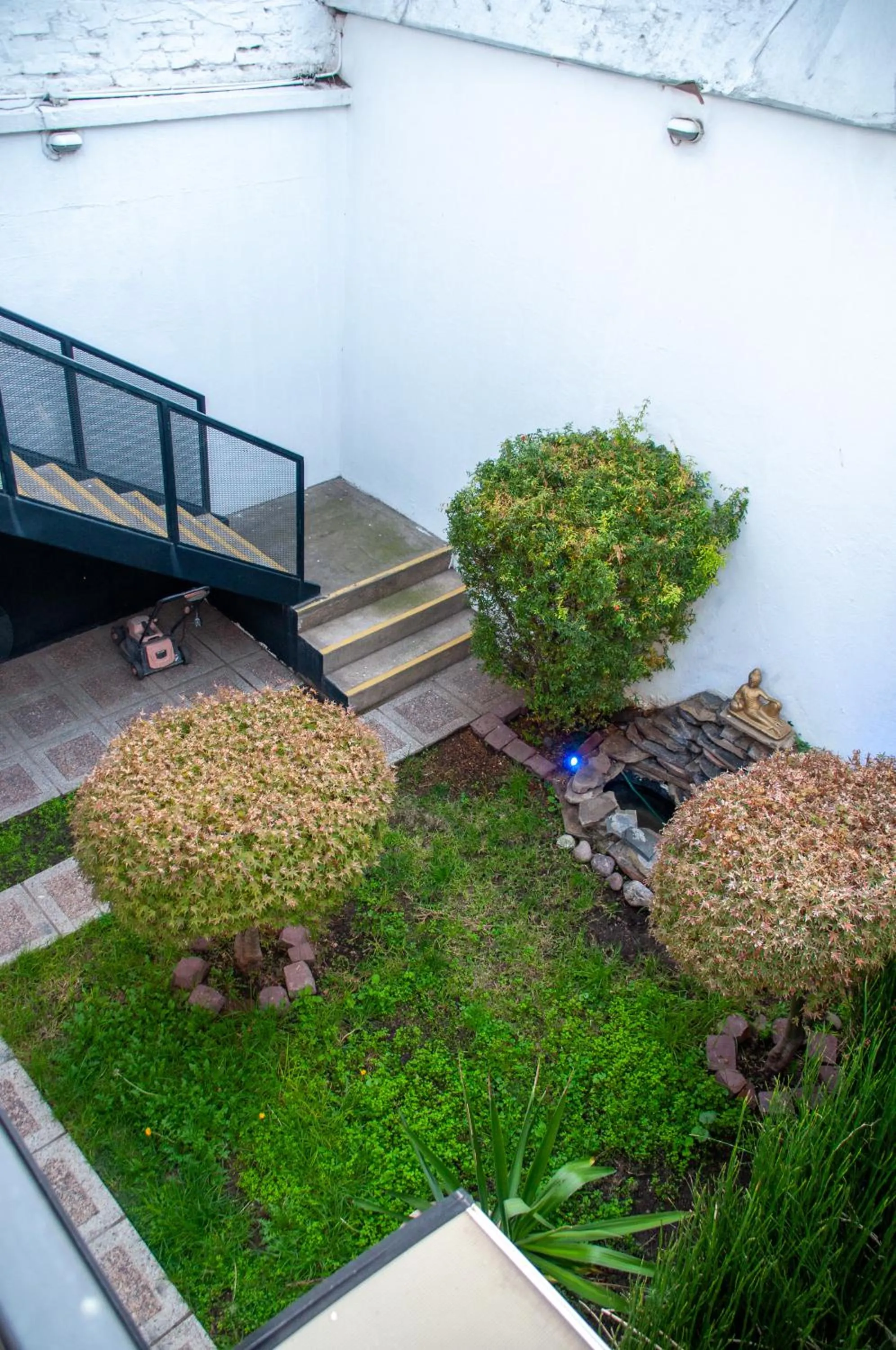 Day in Tremo Patio Bellavista