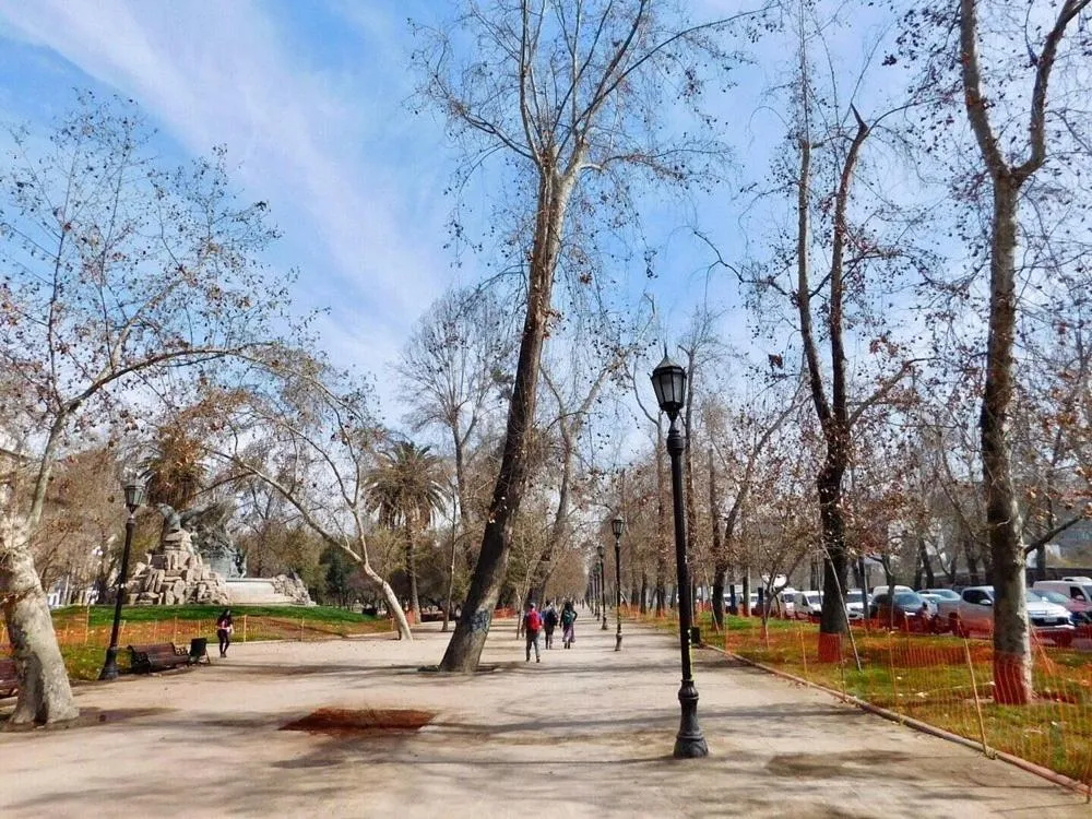 Tremo Patio Bellavista