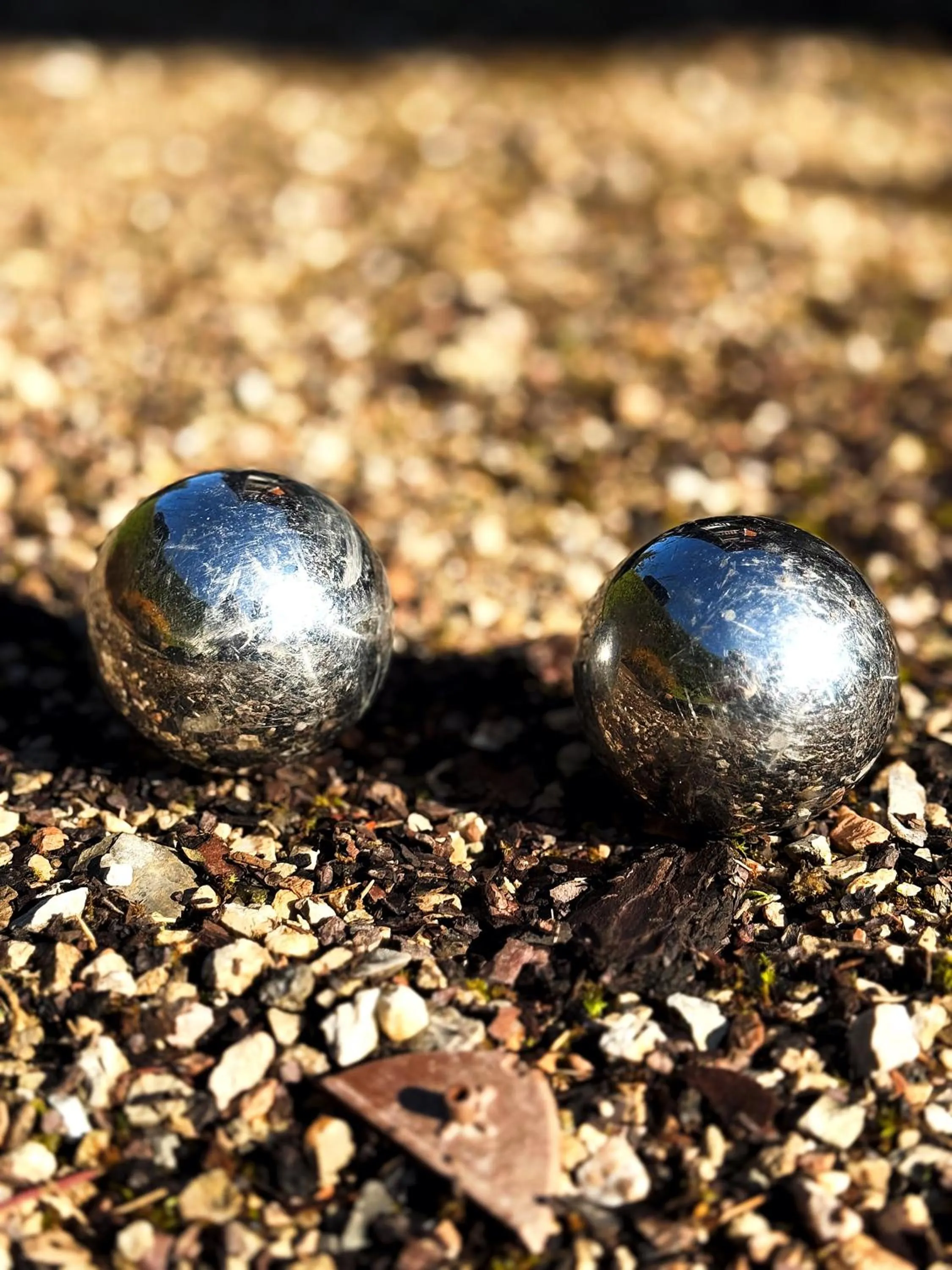 Garden in Hotel Bel'alpe