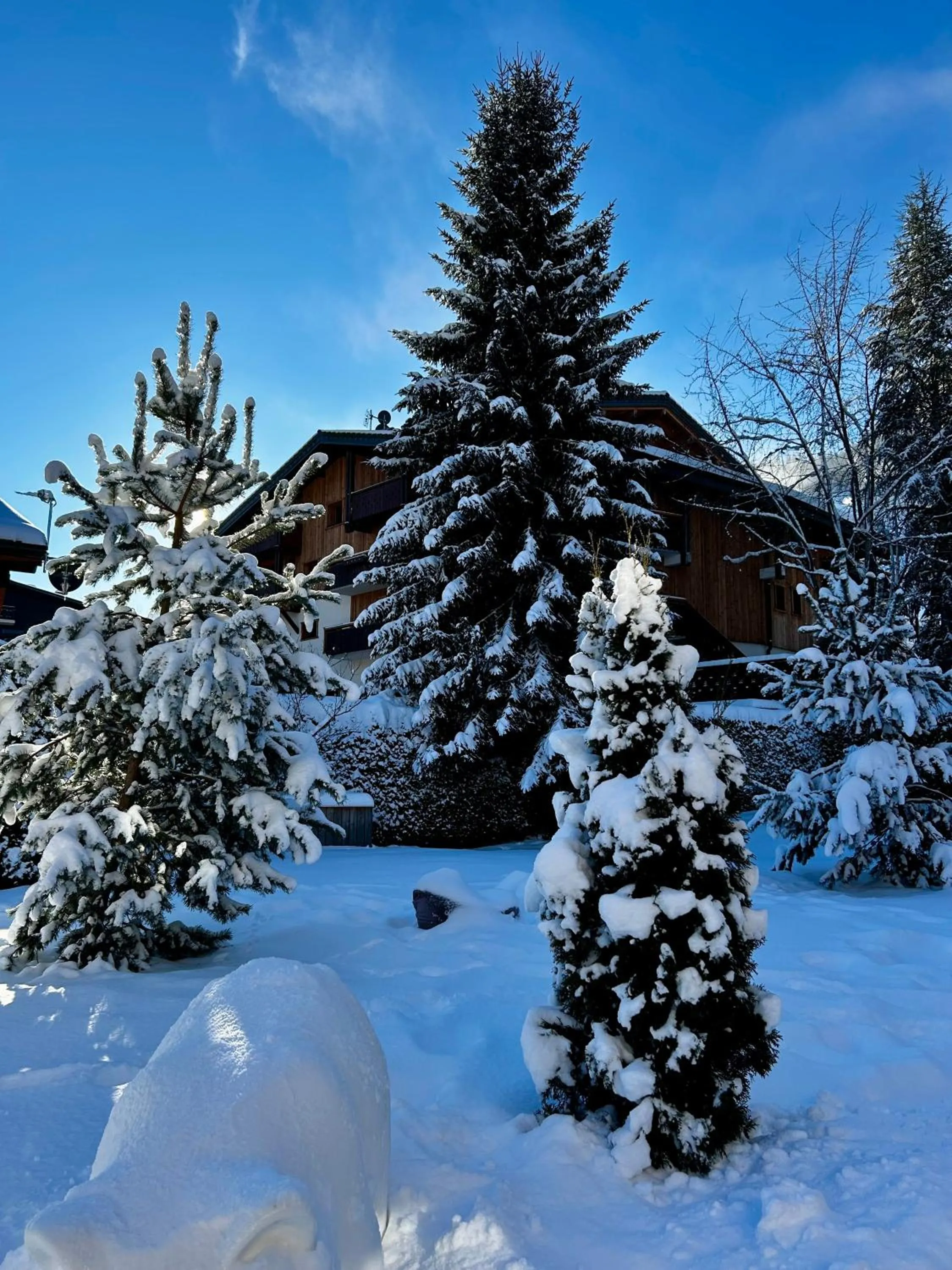 Winter in Hotel Bel'alpe