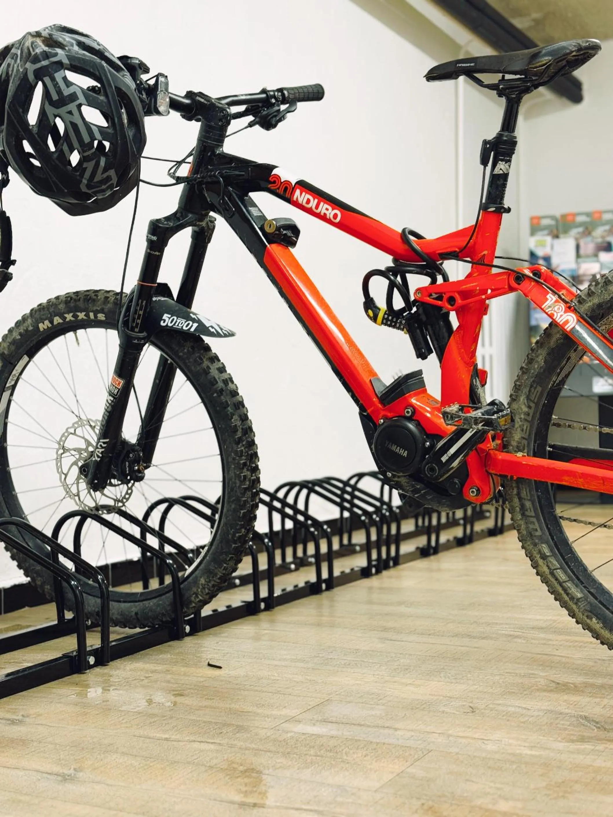 Cycling in Hotel Bel'alpe