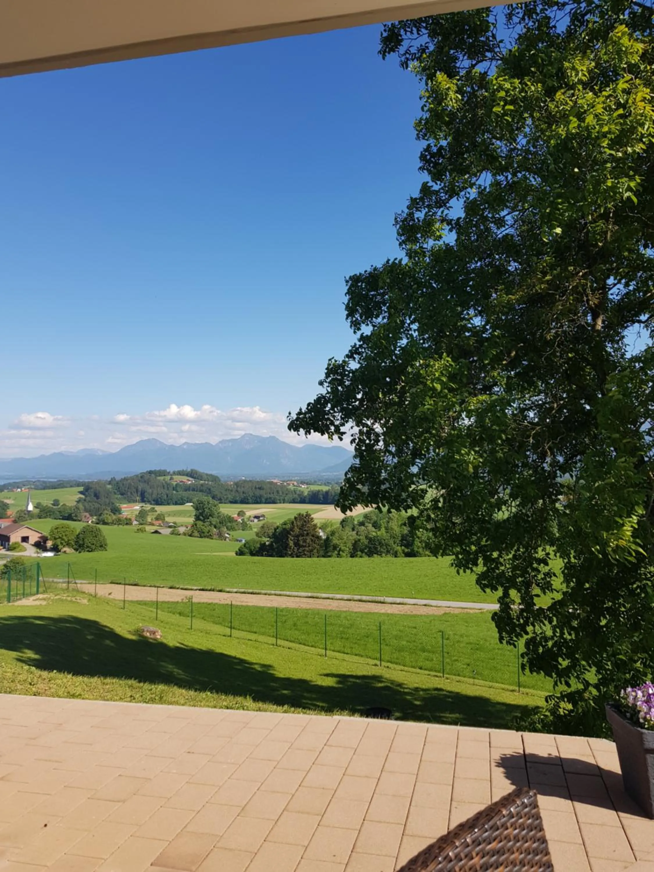 Berg Hotel Weingarten Garni