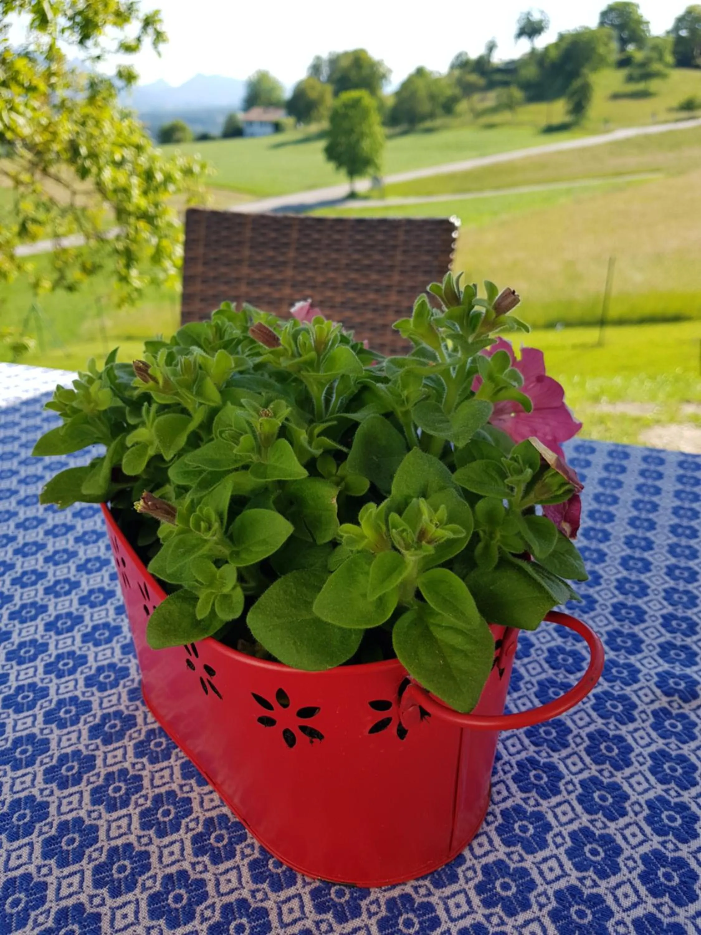 Berg Hotel Weingarten Garni
