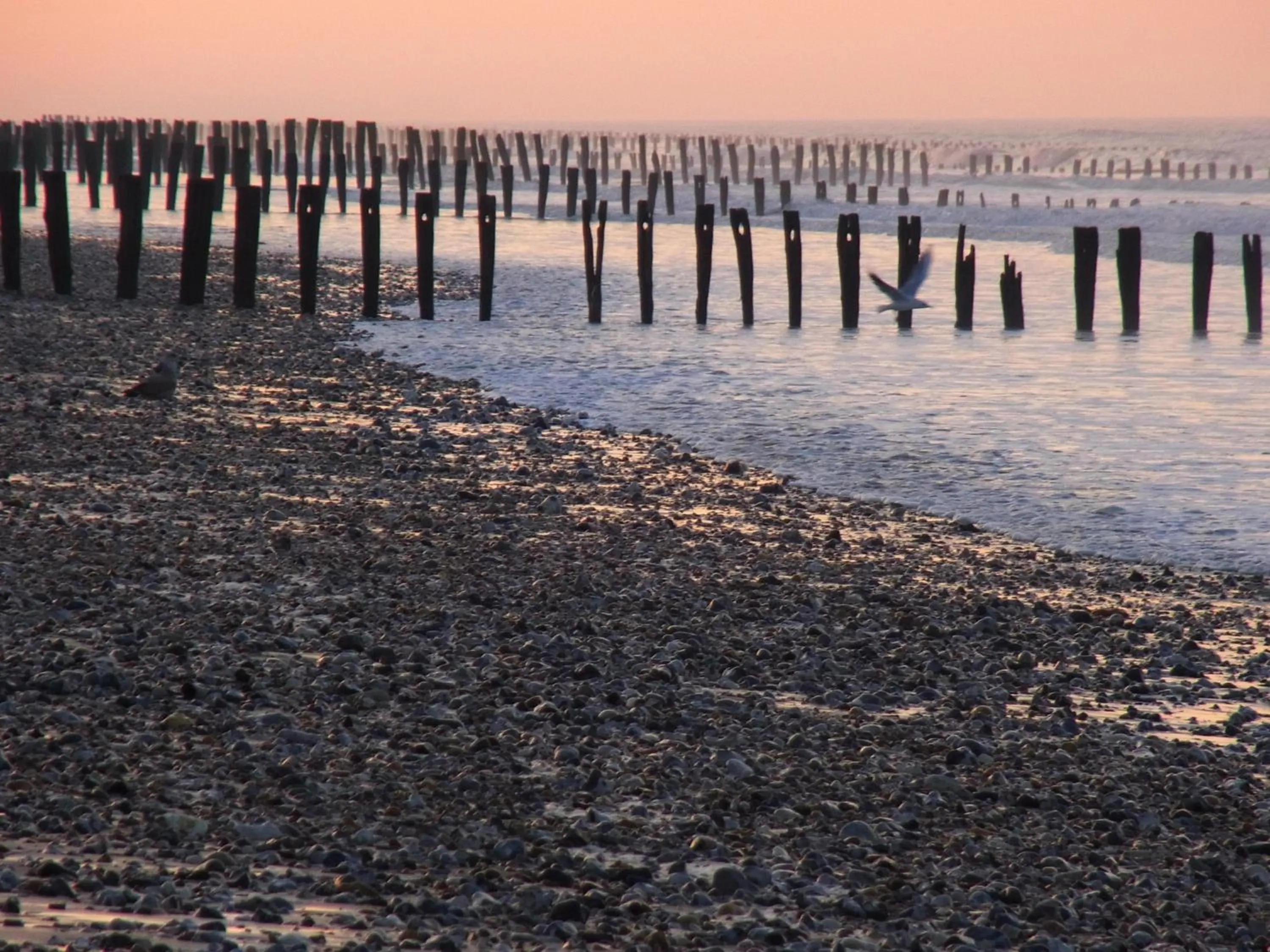 Natural landscape in VVF Blériot-Plage