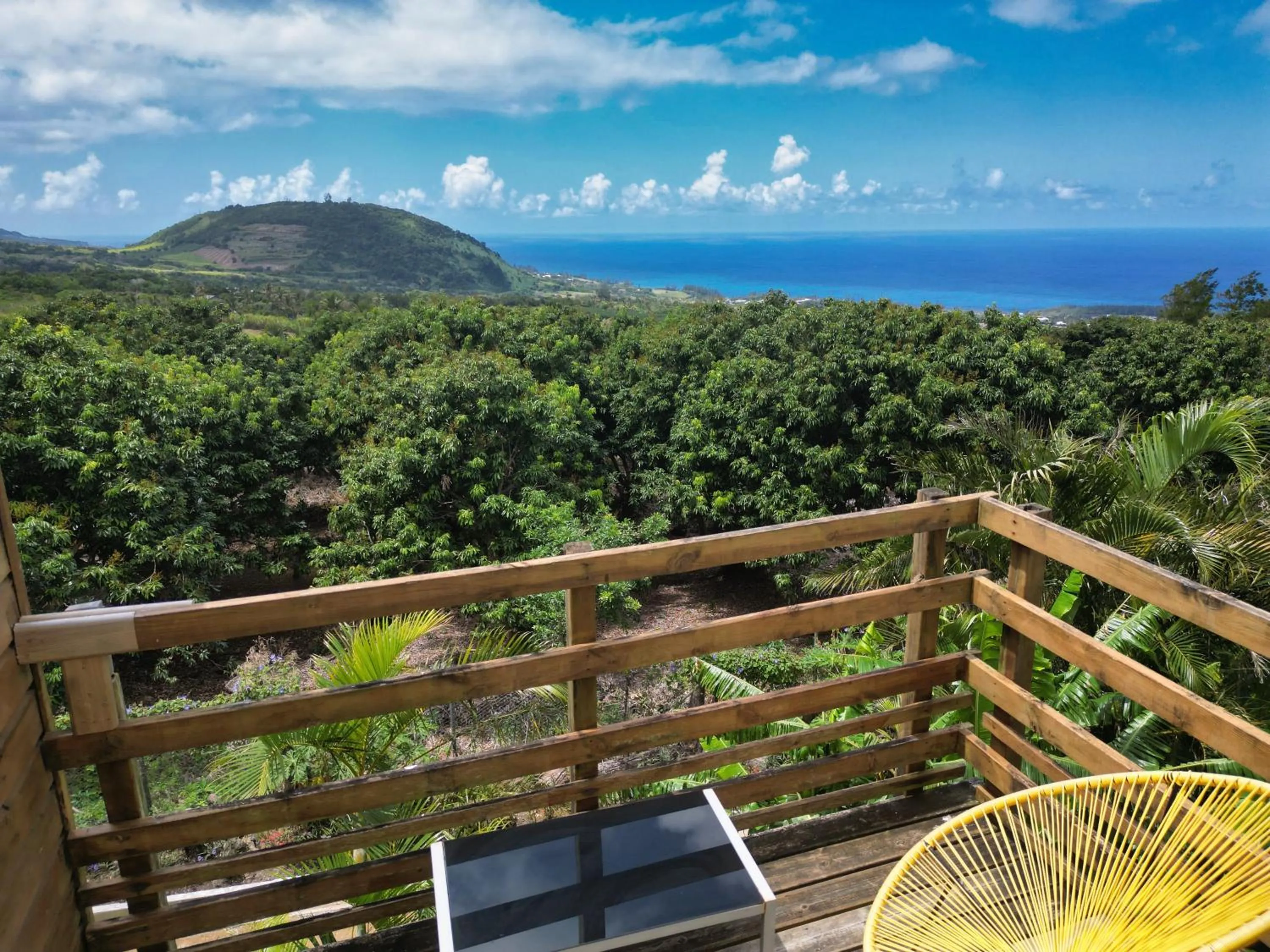 View (from property/room) in Bubble Dome Village