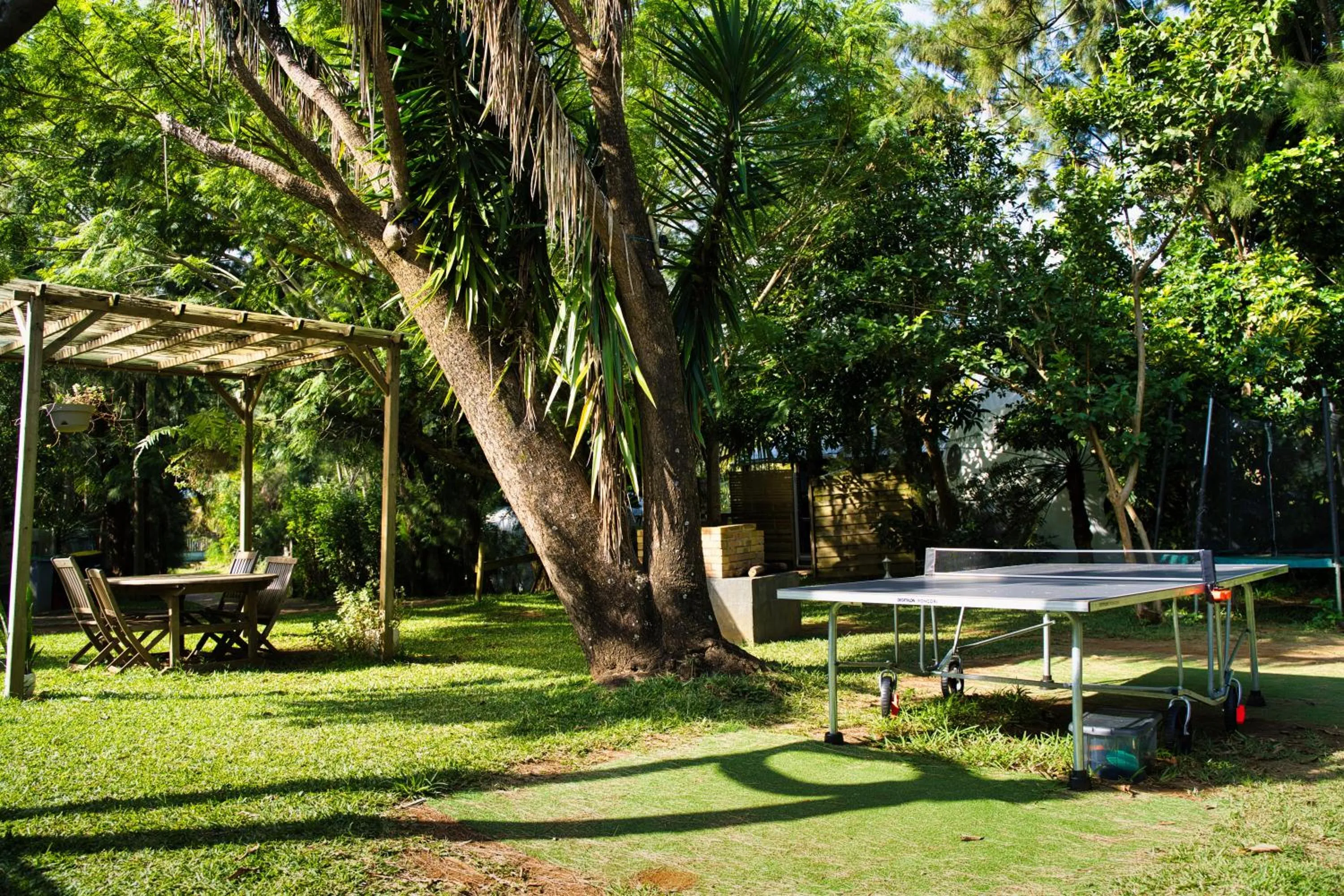 Garden in Bubble Dome Village
