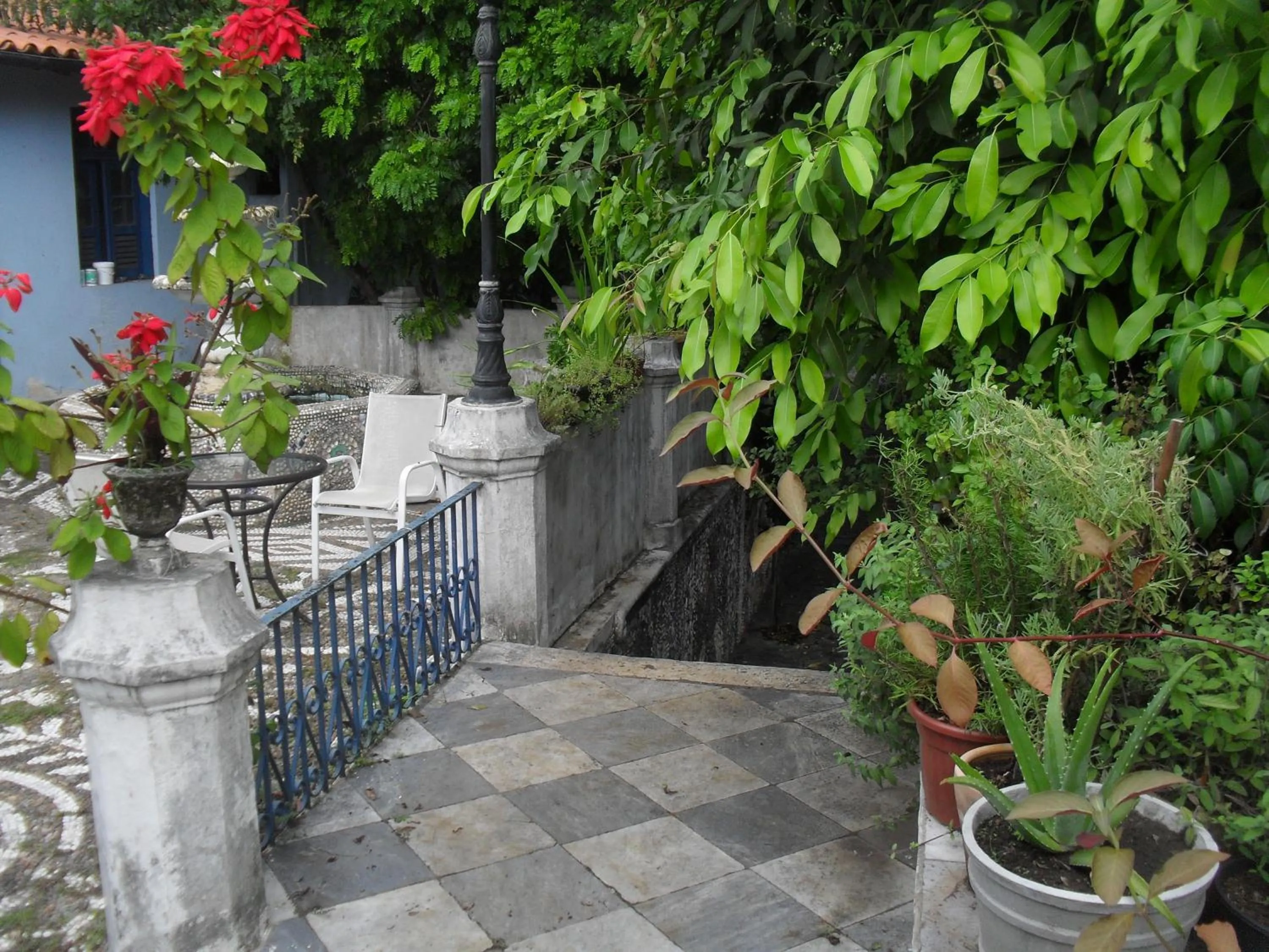 Garden in Pousada Barroco na Bahia