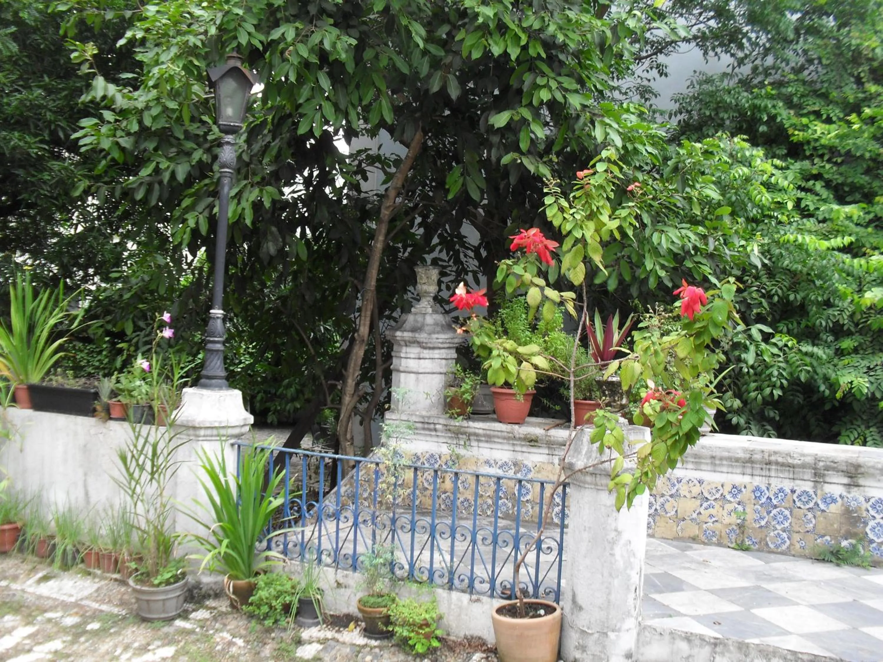 Garden in Pousada Barroco na Bahia
