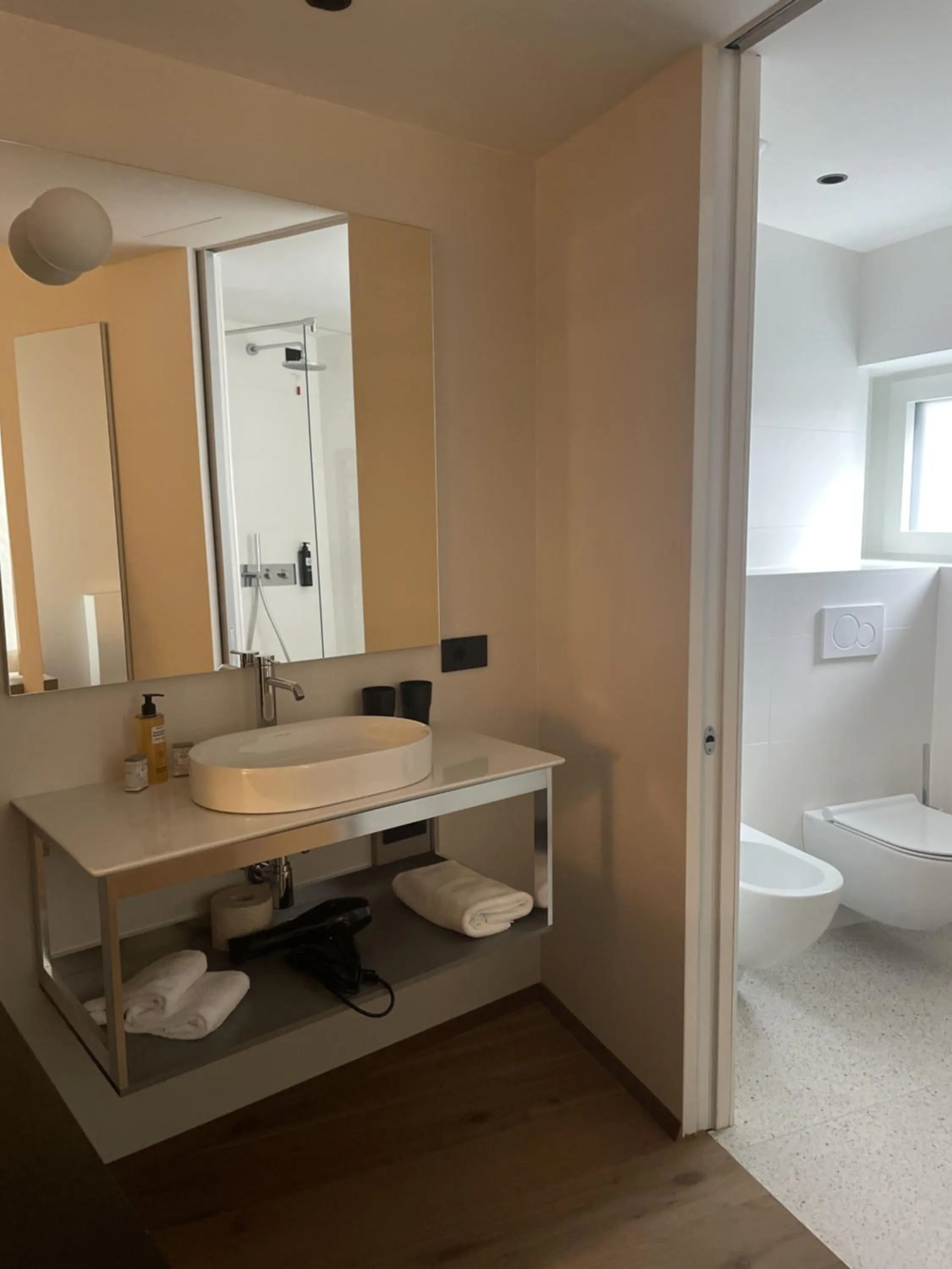 Toilet in Hotel Giardino Verdi