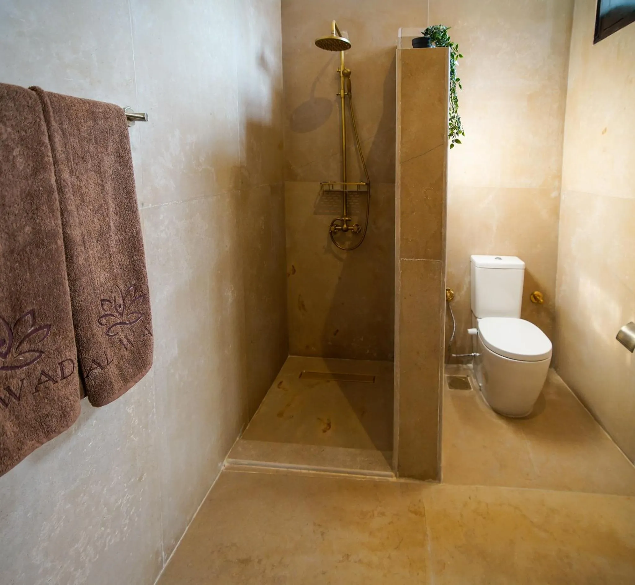 Shower in Al Wadi Boutique Hotel
