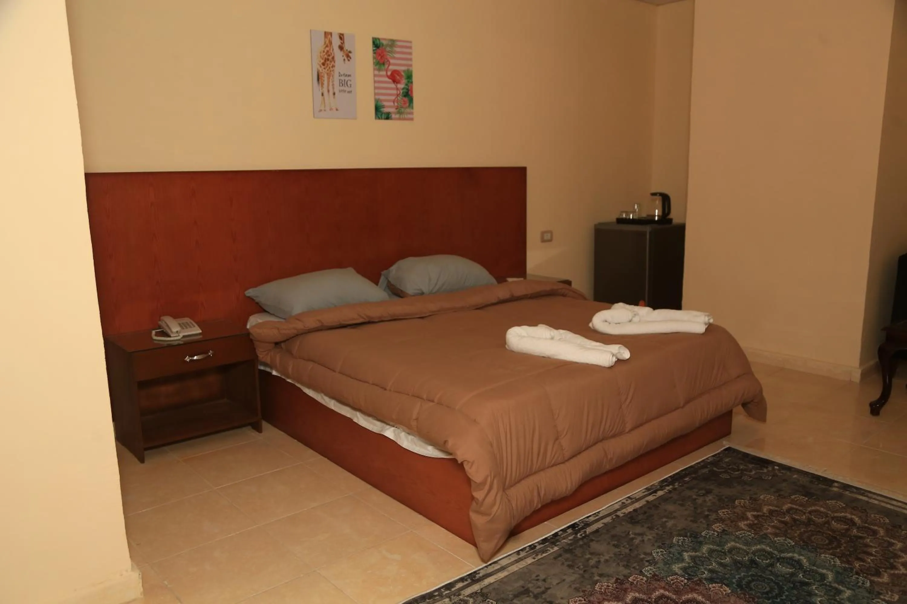 Standard Double Room - single occupancy in Verssailles Pyramids Hotel