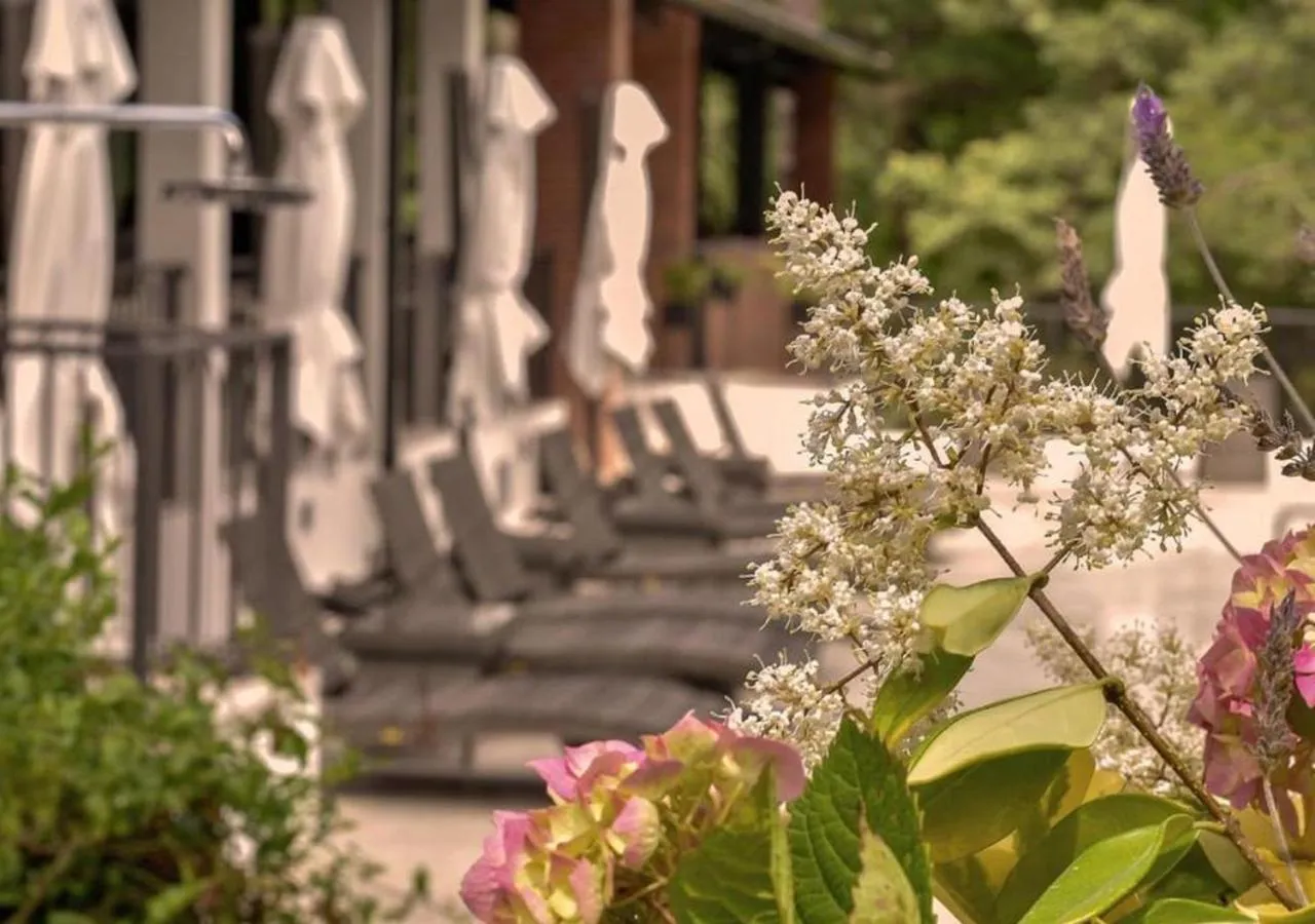 Swimming pool in Carilo Hills by bund