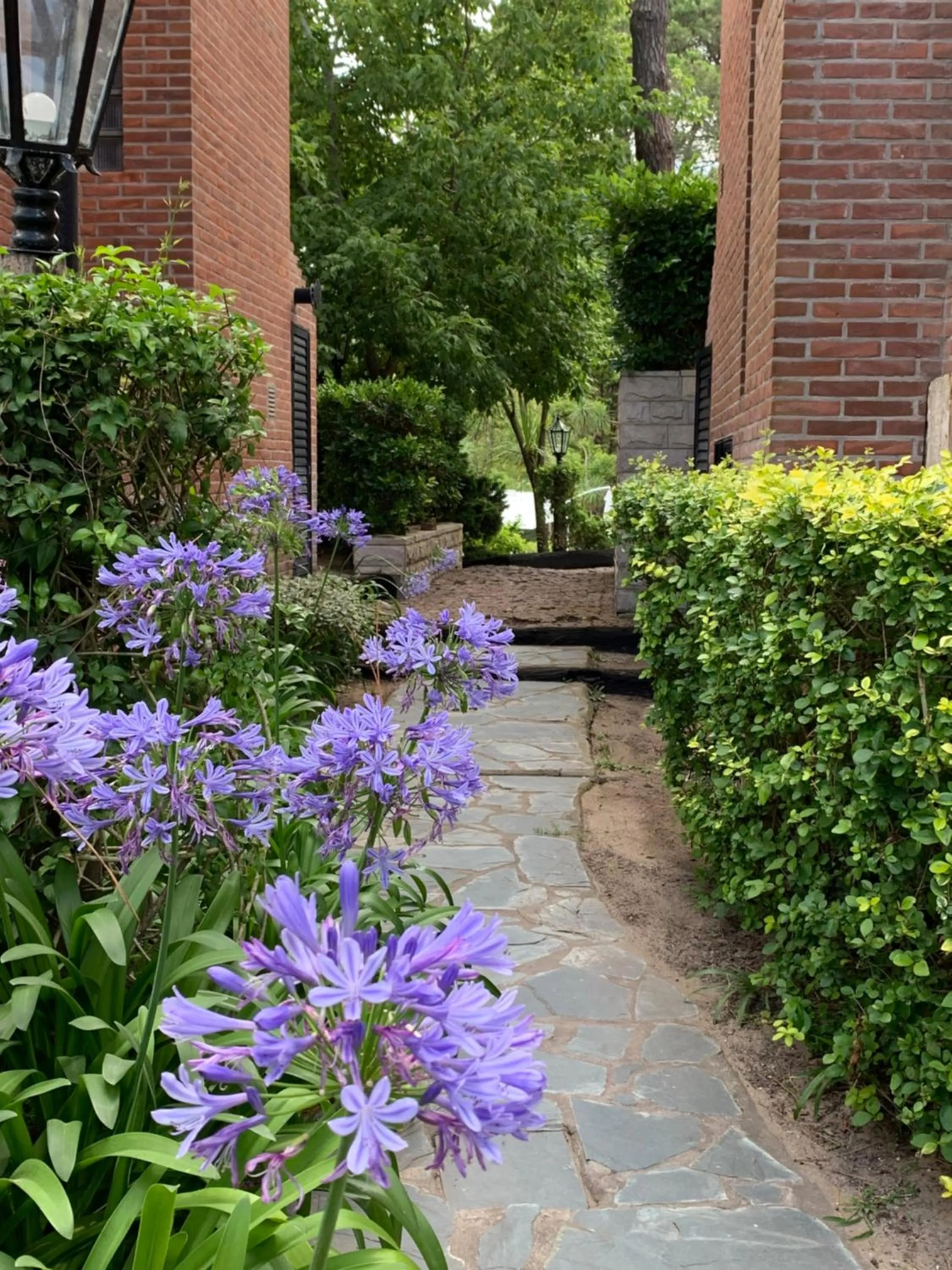 Facade/entrance in Carilo Hills by bund