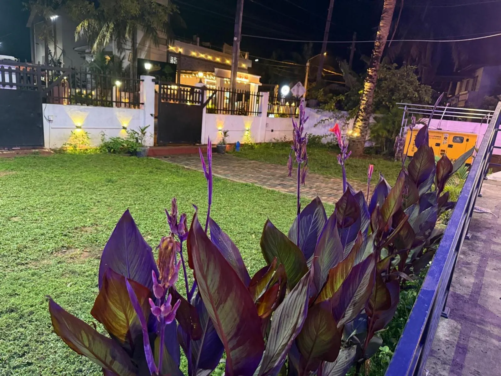 Night in Peninsula hotel