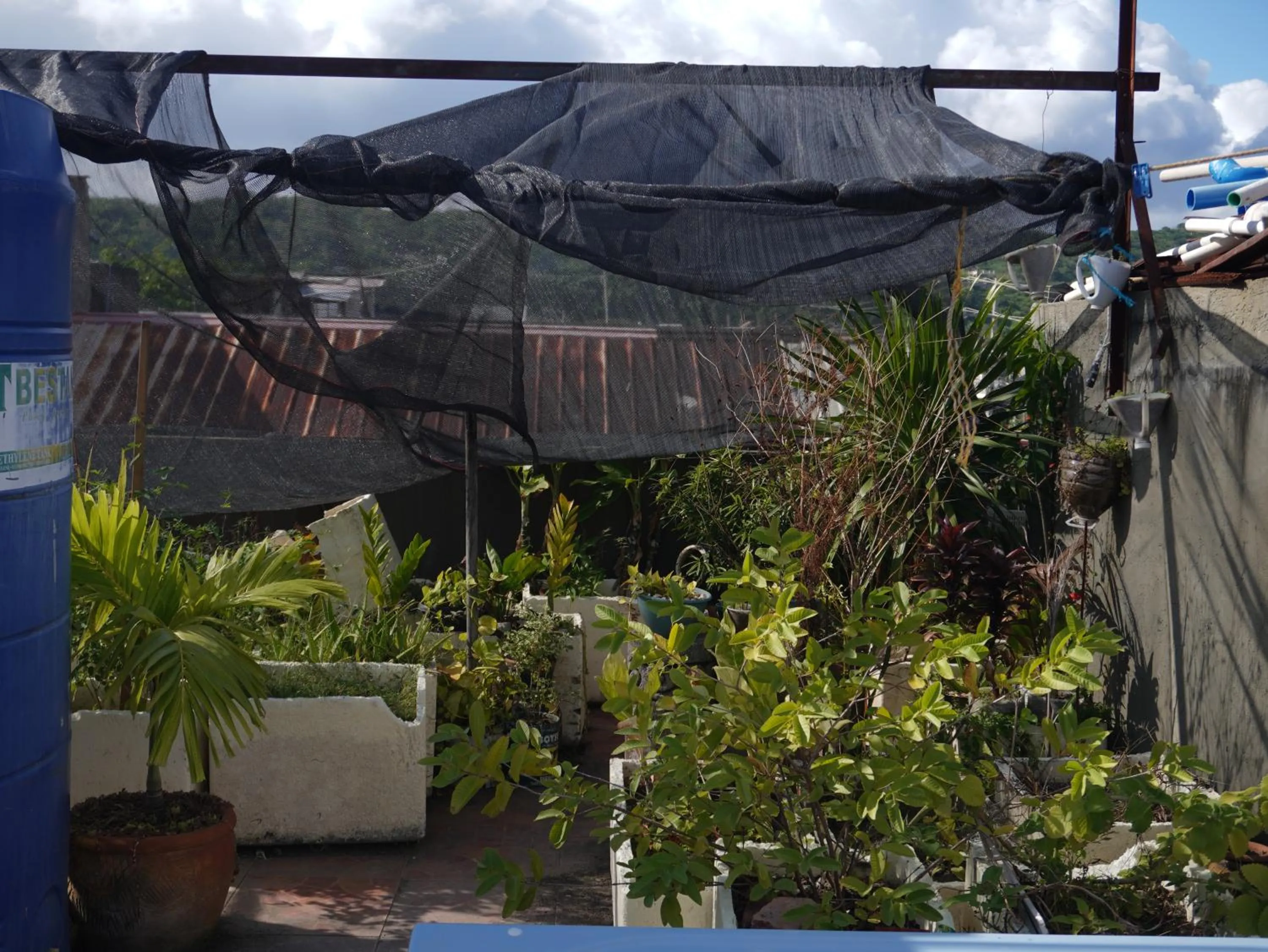 Garden in Boracay Paradise Hotel