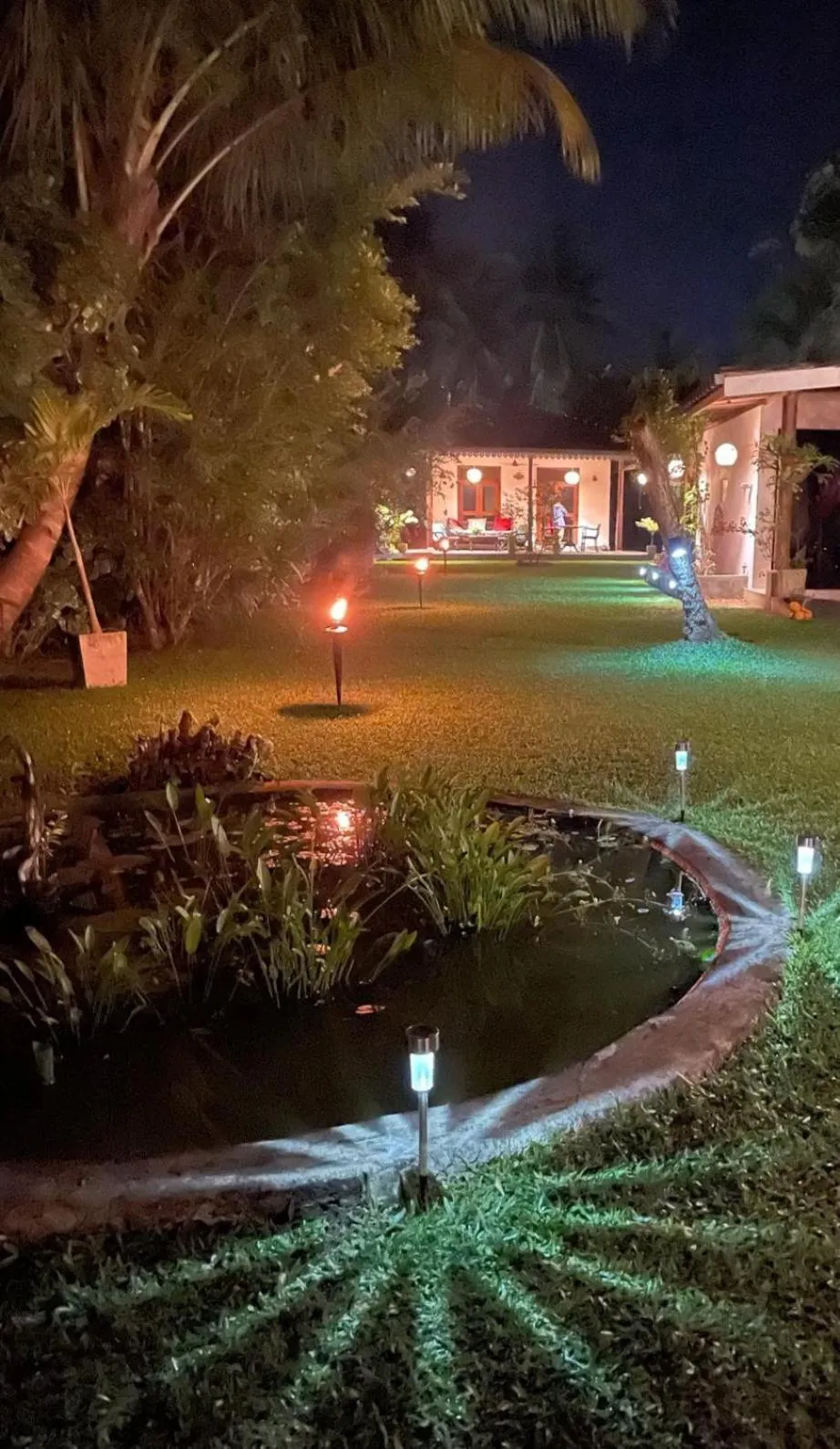 Garden in Lilly House