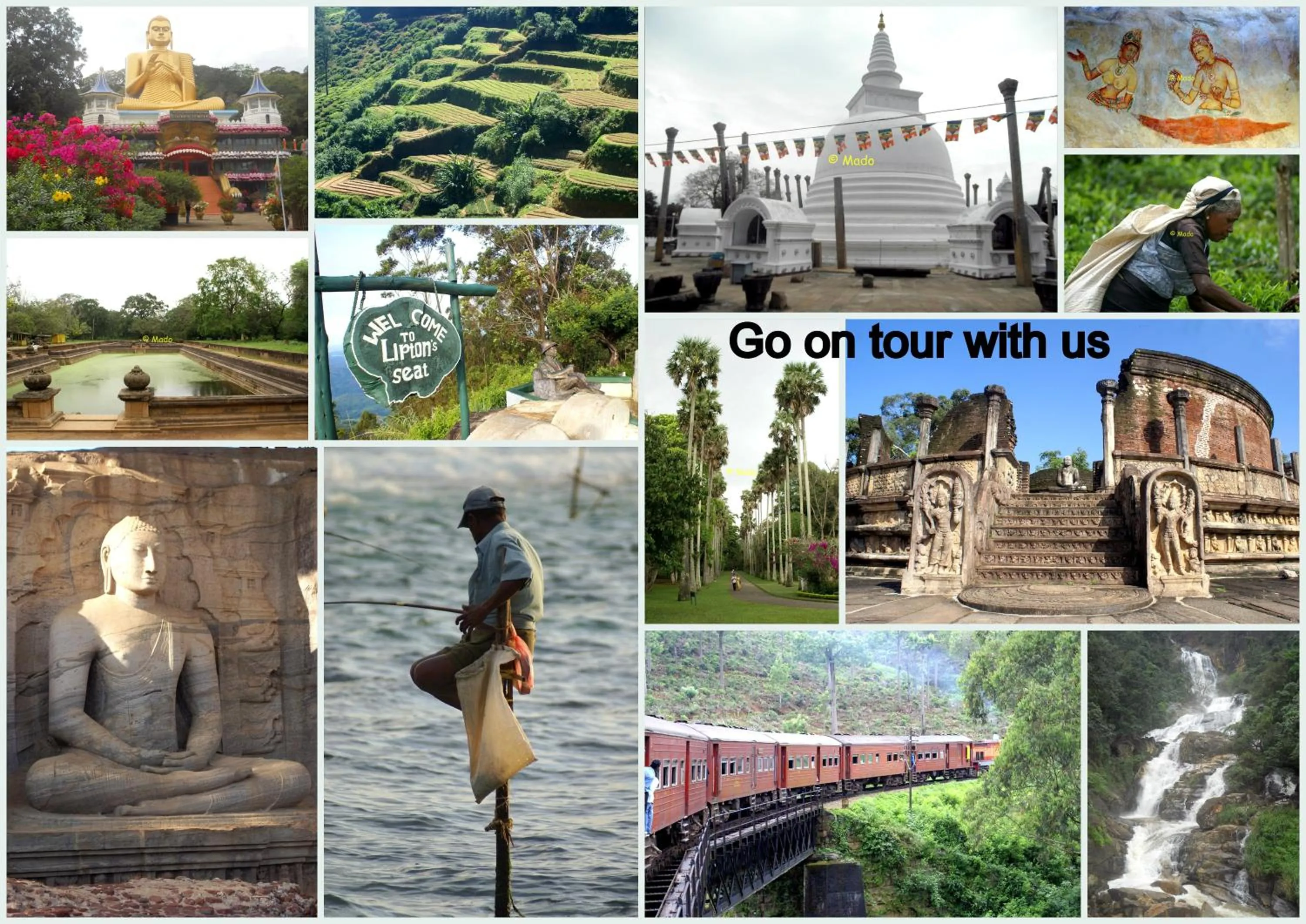 Activities in Lilly House