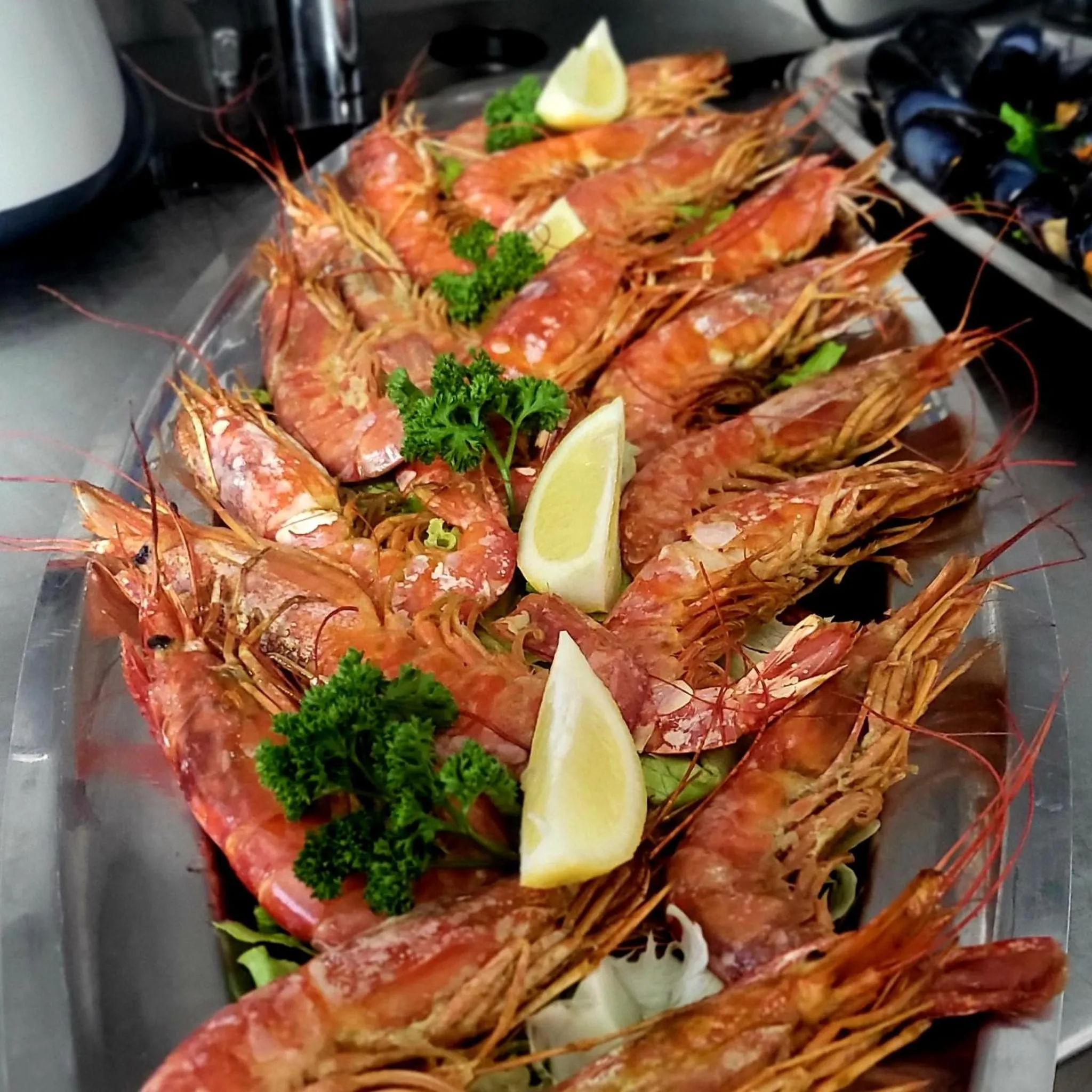 Restaurant/places to eat in Hotel Derby