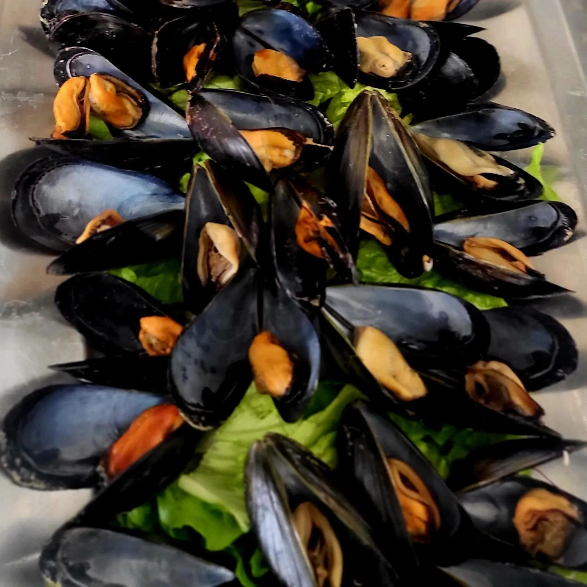 Restaurant/places to eat in Hotel Derby