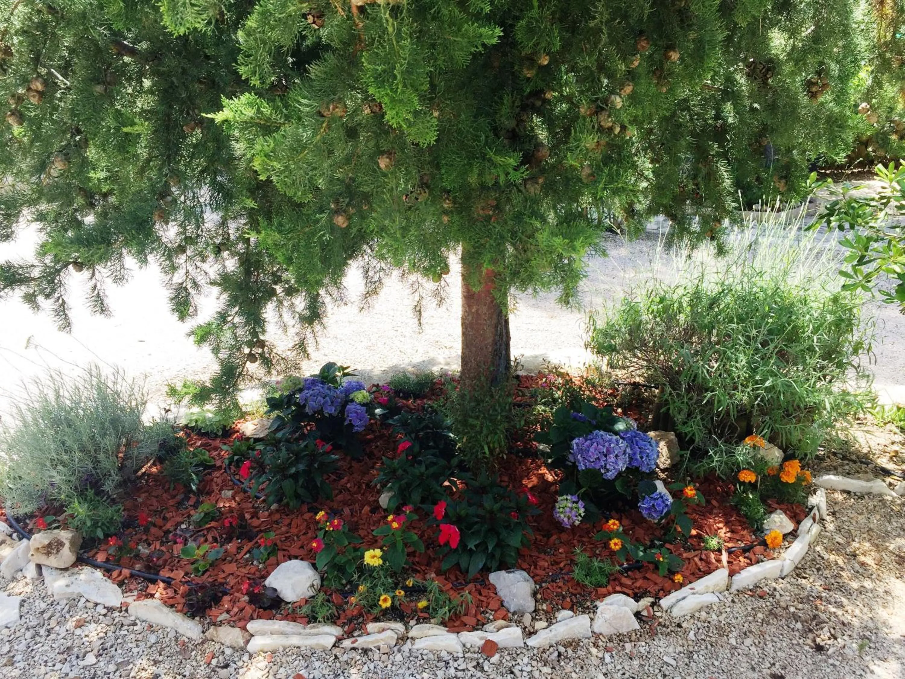 Decorative detail in Sunny Home Soline