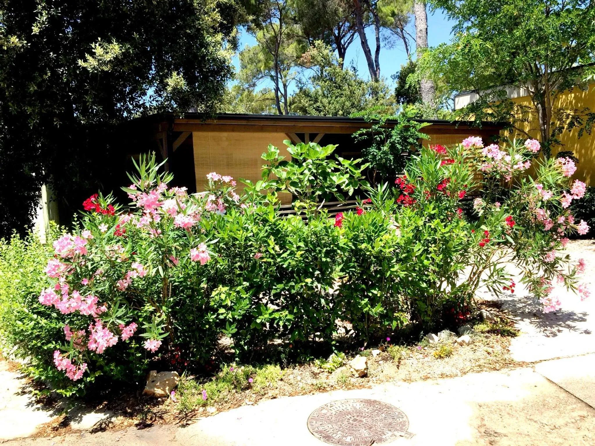 Property building in Sunny Home Soline