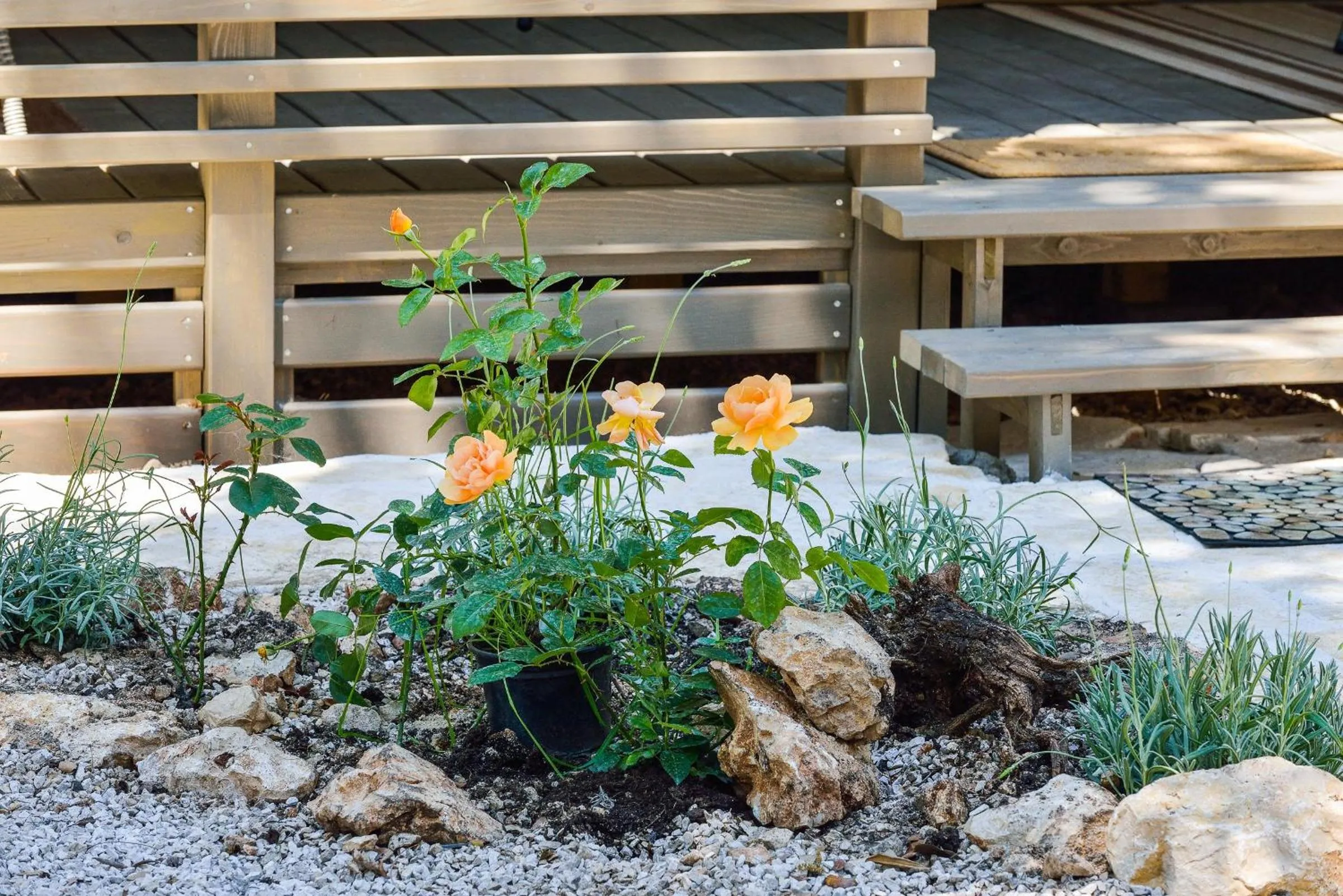 Decorative detail in Sunny Home Soline