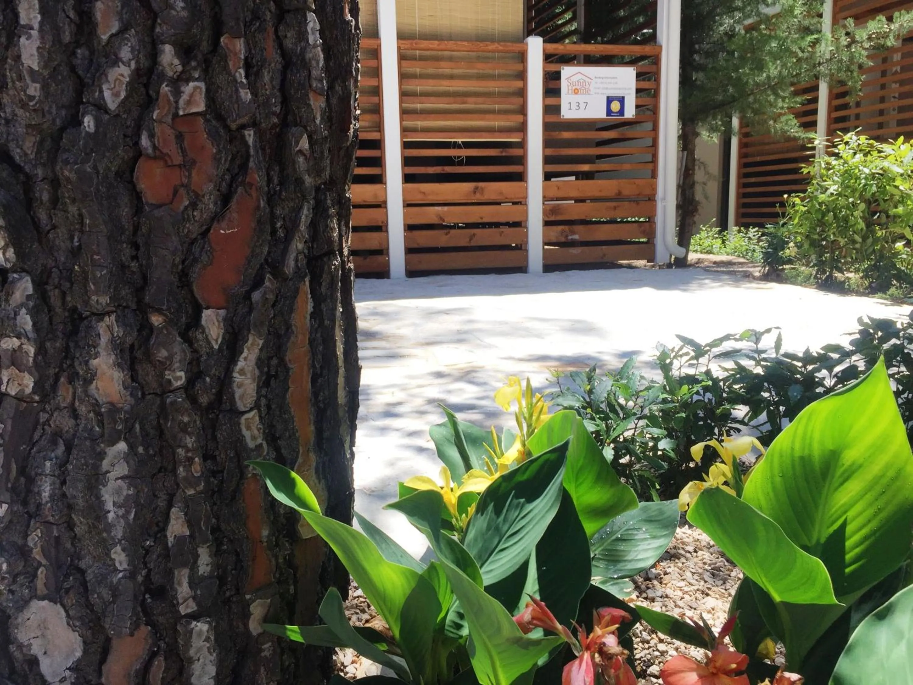 Decorative detail in Sunny Home Soline