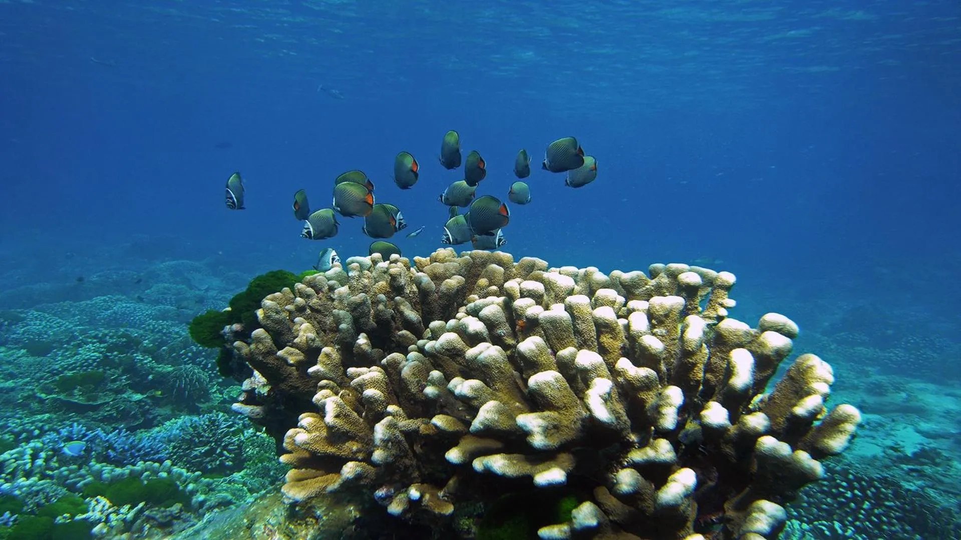 Natural landscape in BJ & Radisson Sea View Hotel