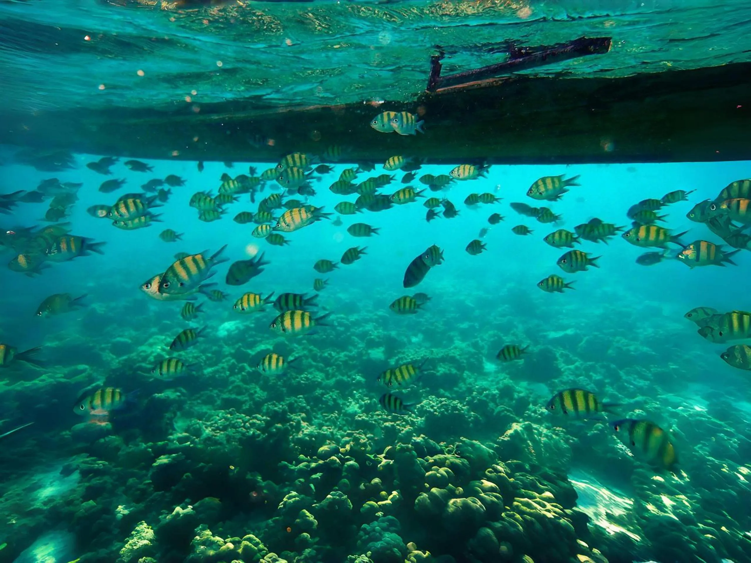 People in Phuket Moonlit Bay Seaview Resort & Spa