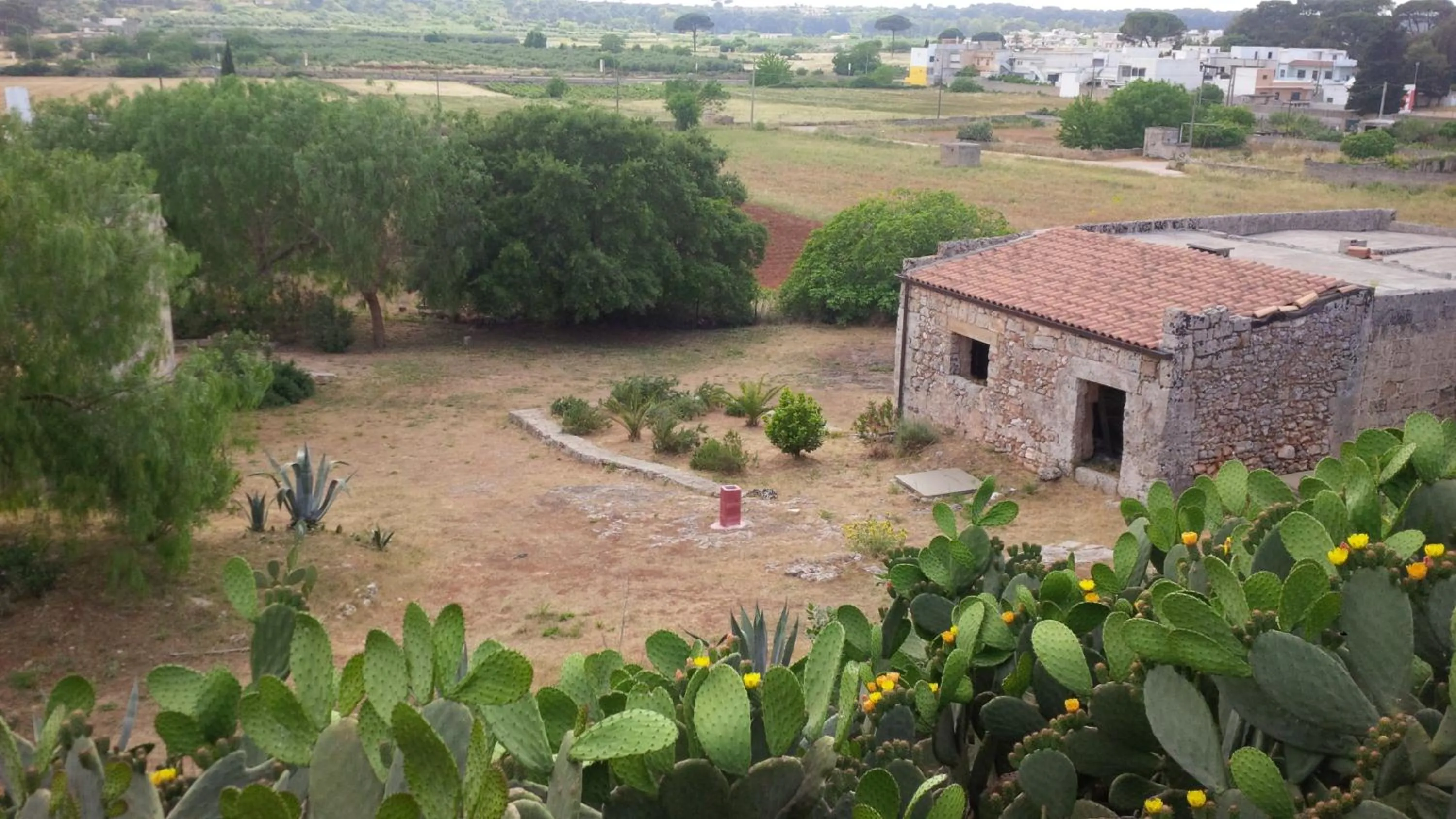 Garden in Antica Masseria Pescu