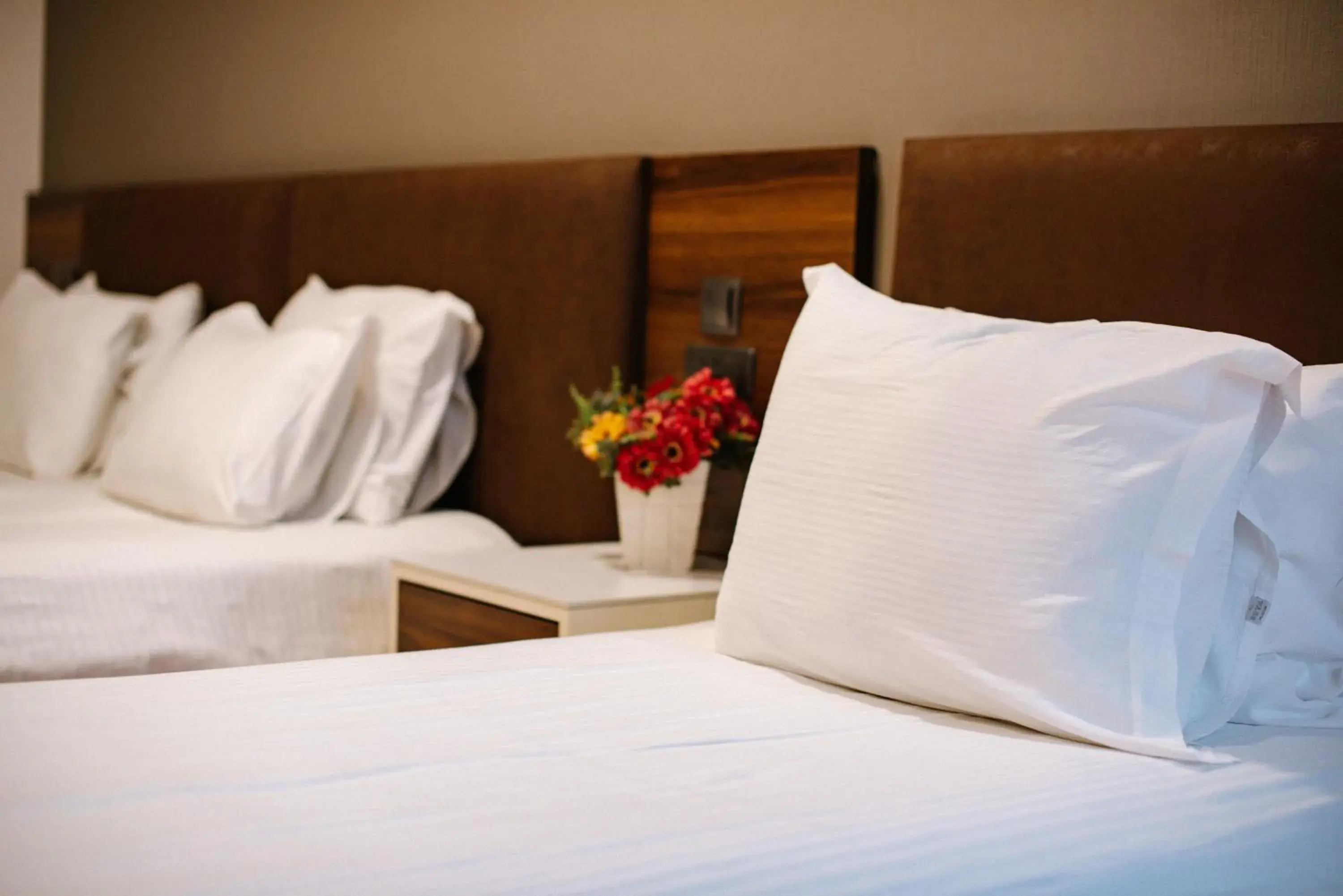 Special Offer - Triple Room in Iveria Inn Hotel Special Offer - Triple Room in Iveria Inn Hotel