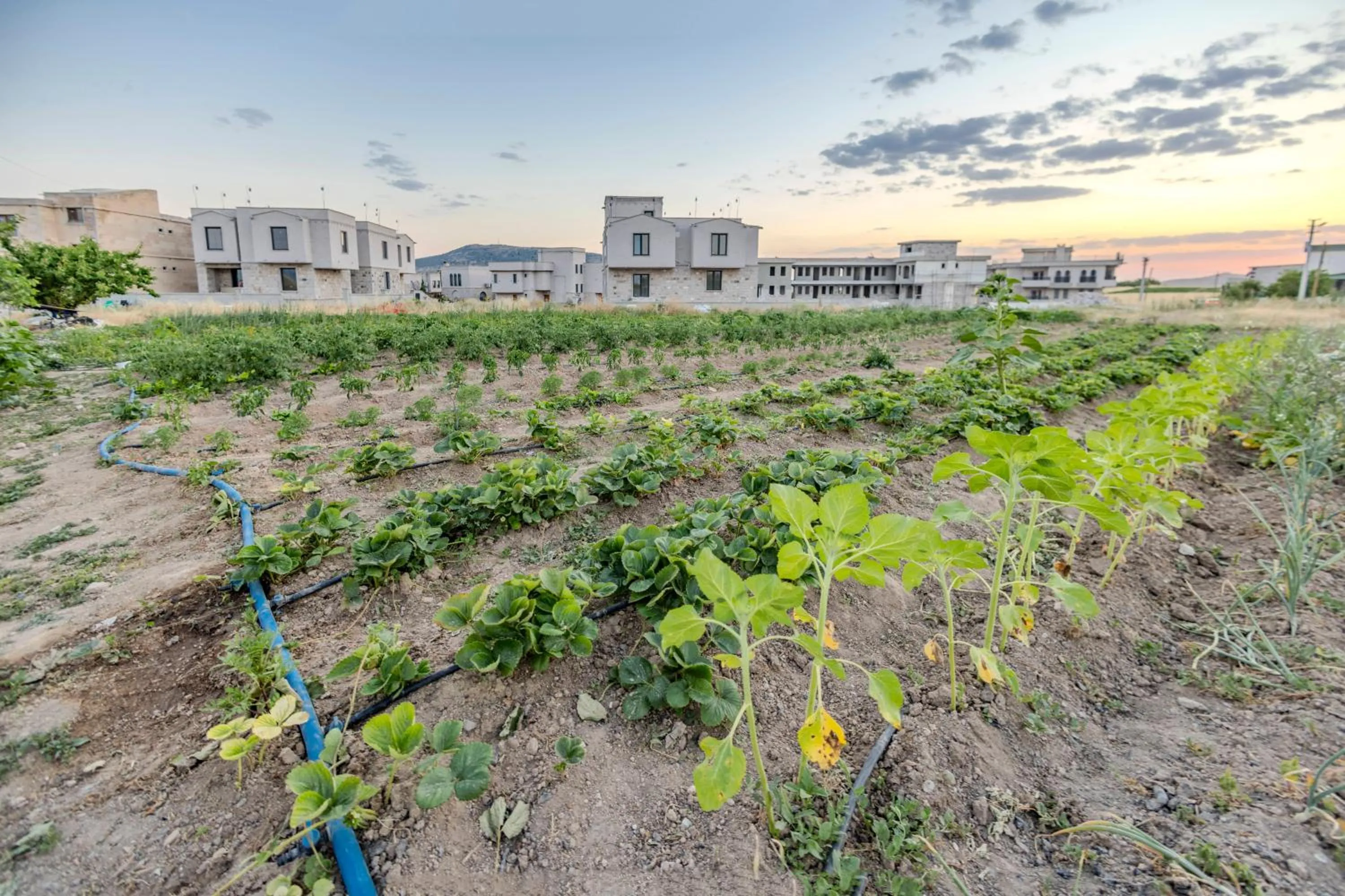 Garden in Mial Cappadocia