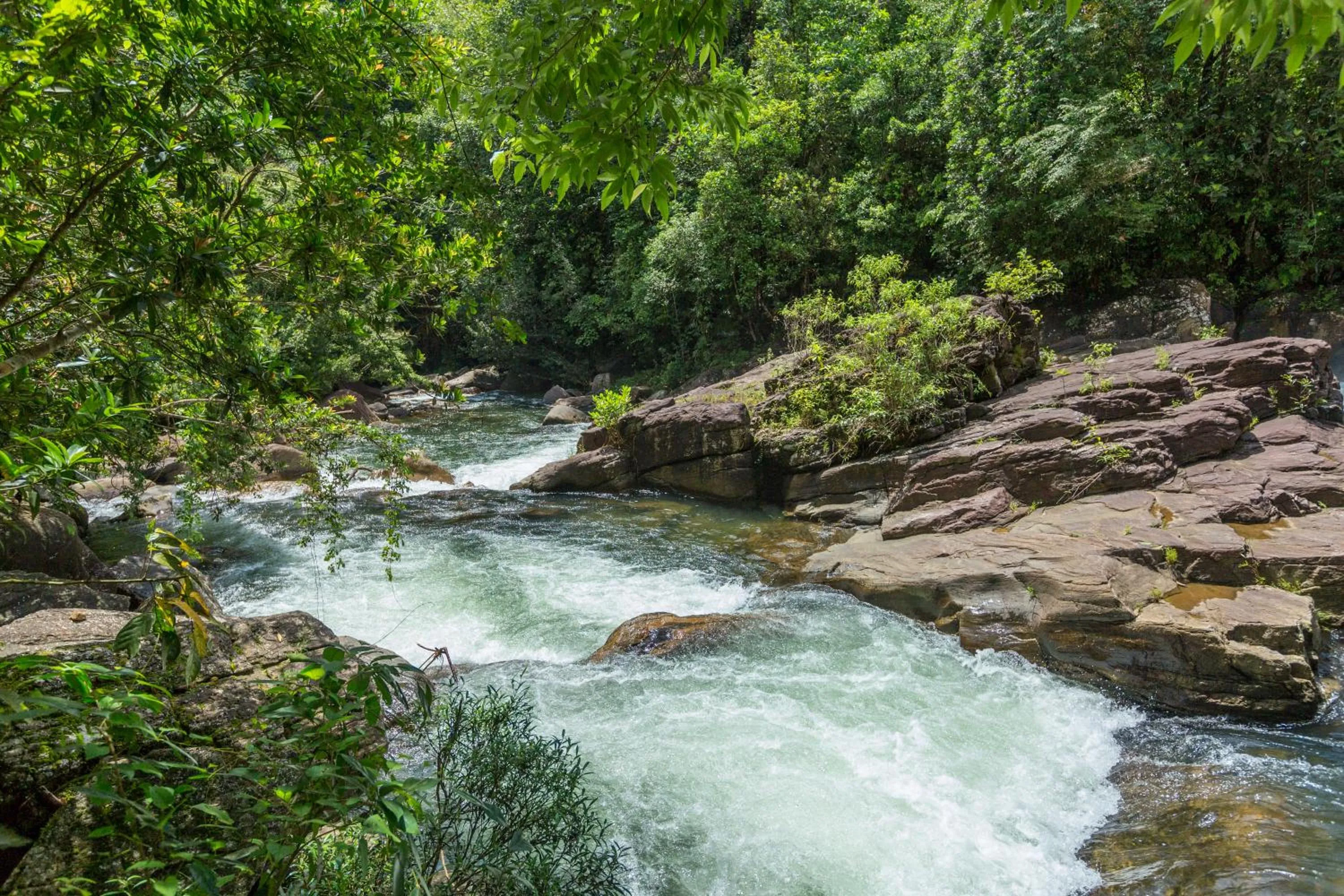 River view in Palmstone Retreat