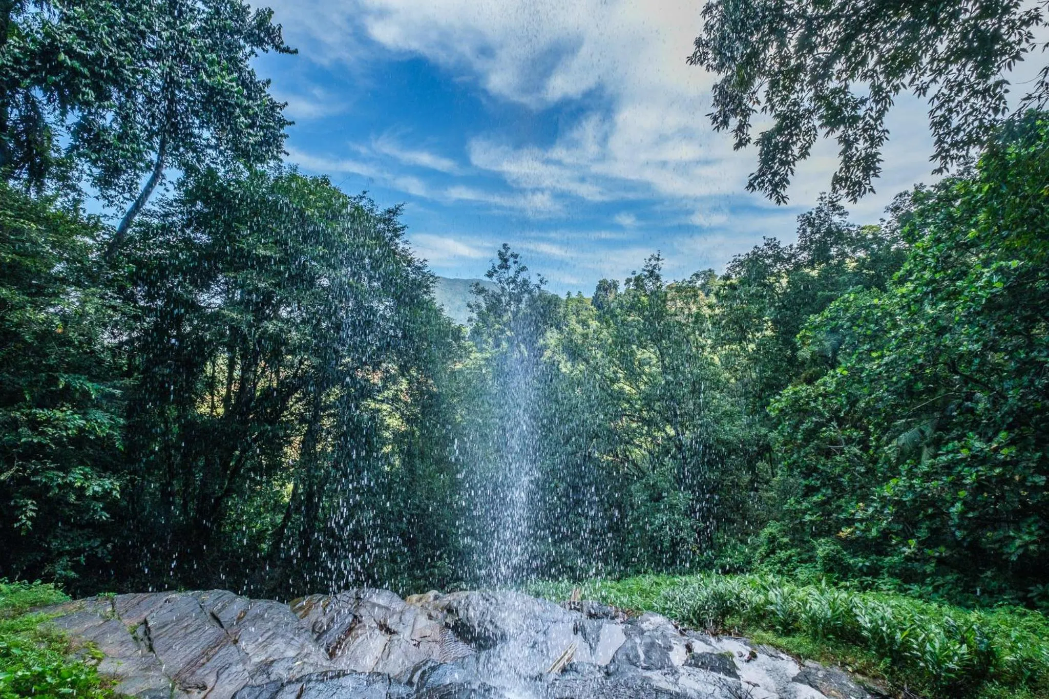 Nearby landmark in Palmstone Retreat