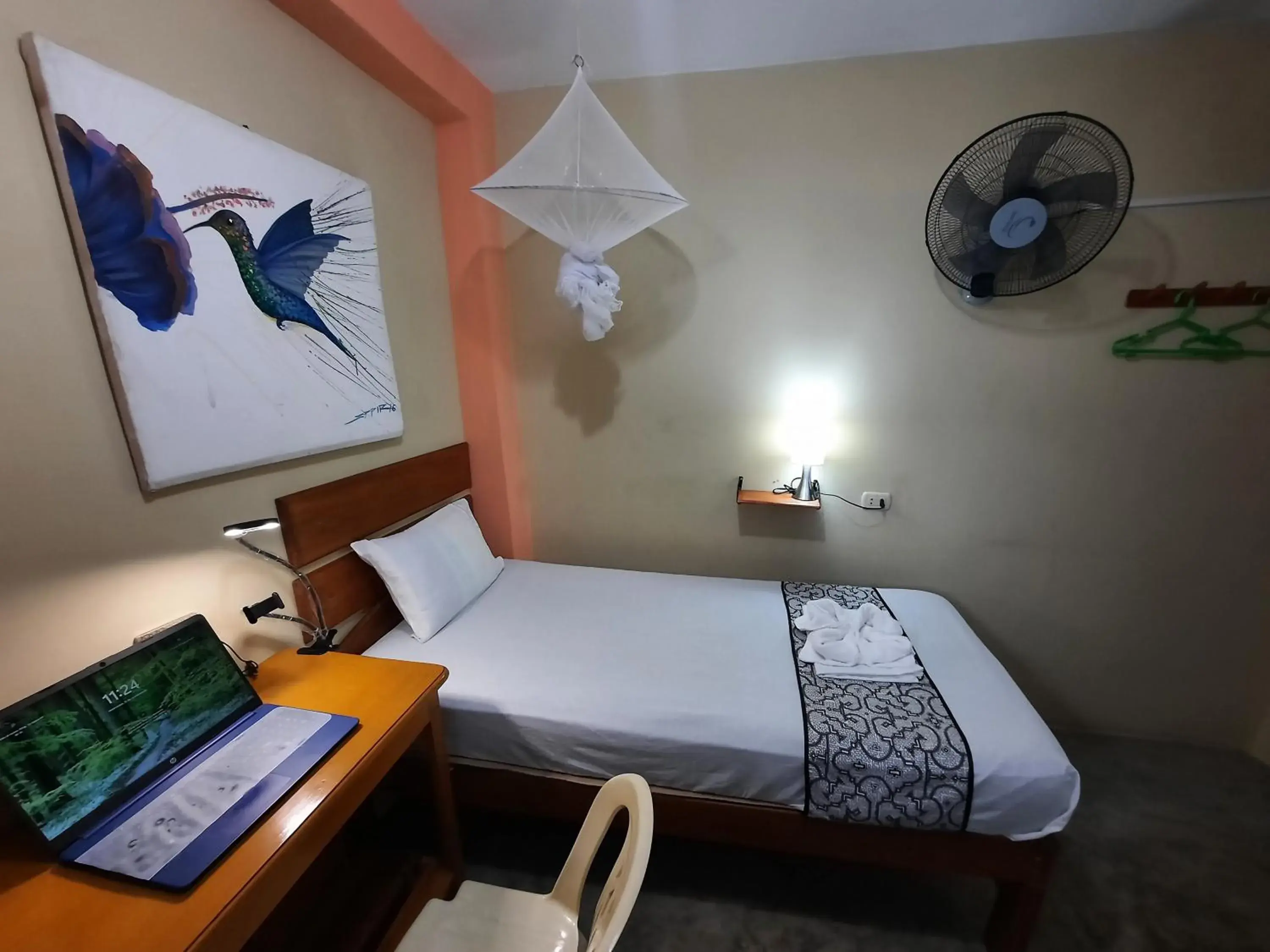 Economy Single Room in Amazon House Hostel Economy Single Room in Amazon House Hostel
